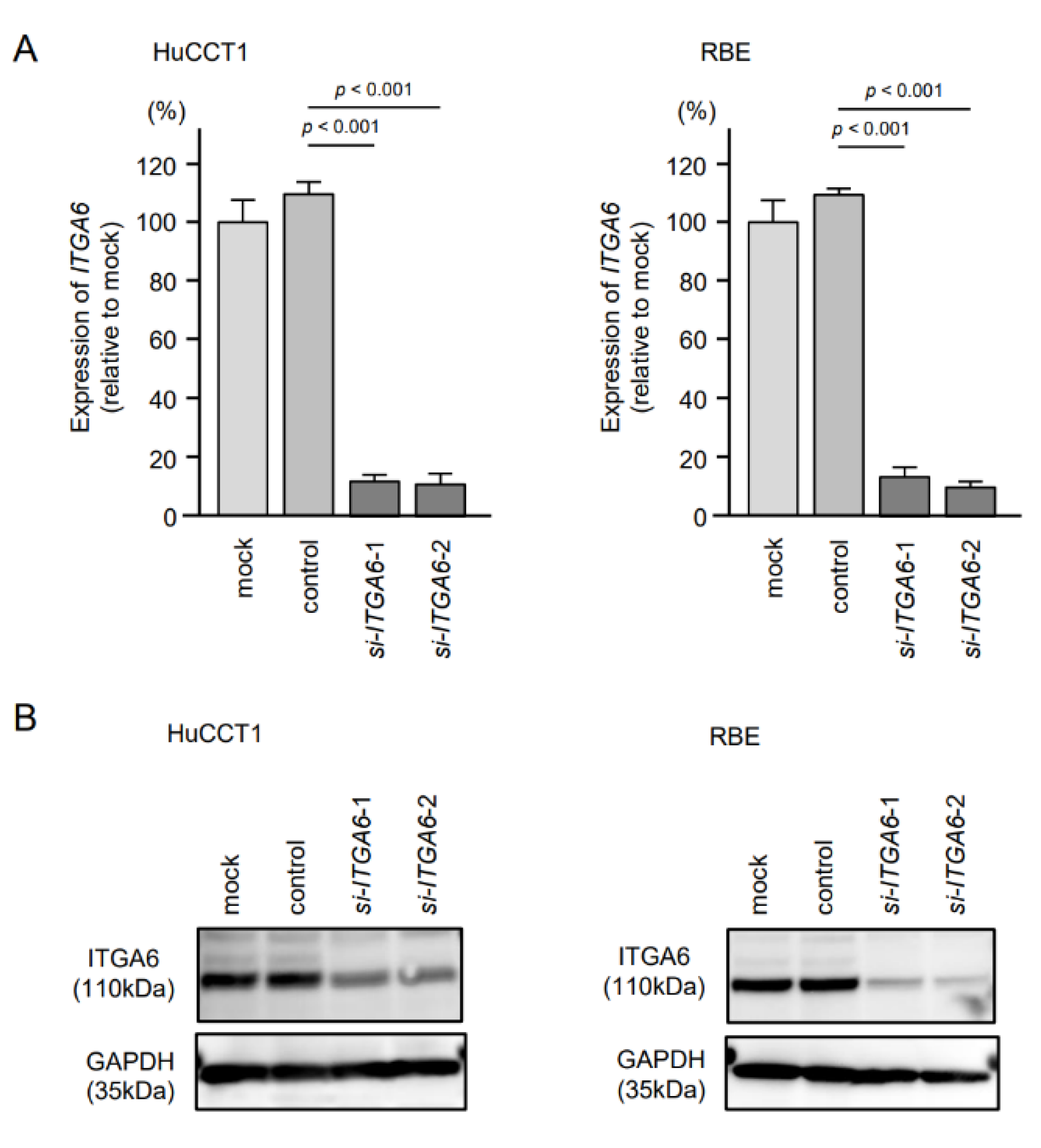 Cancers 13 02804 g008 Cancers 13 02804 g008