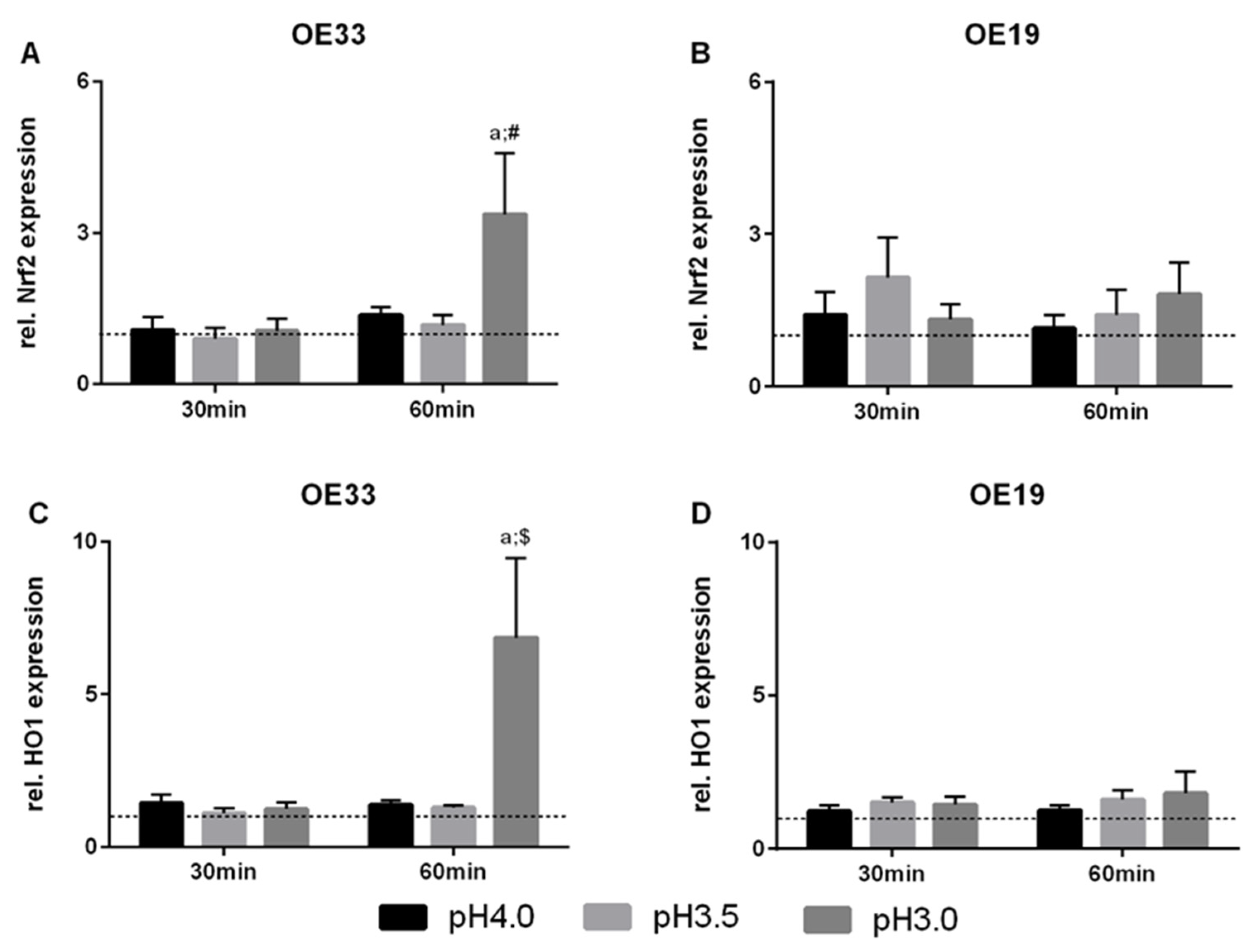 Cancers 13 02806 g004
