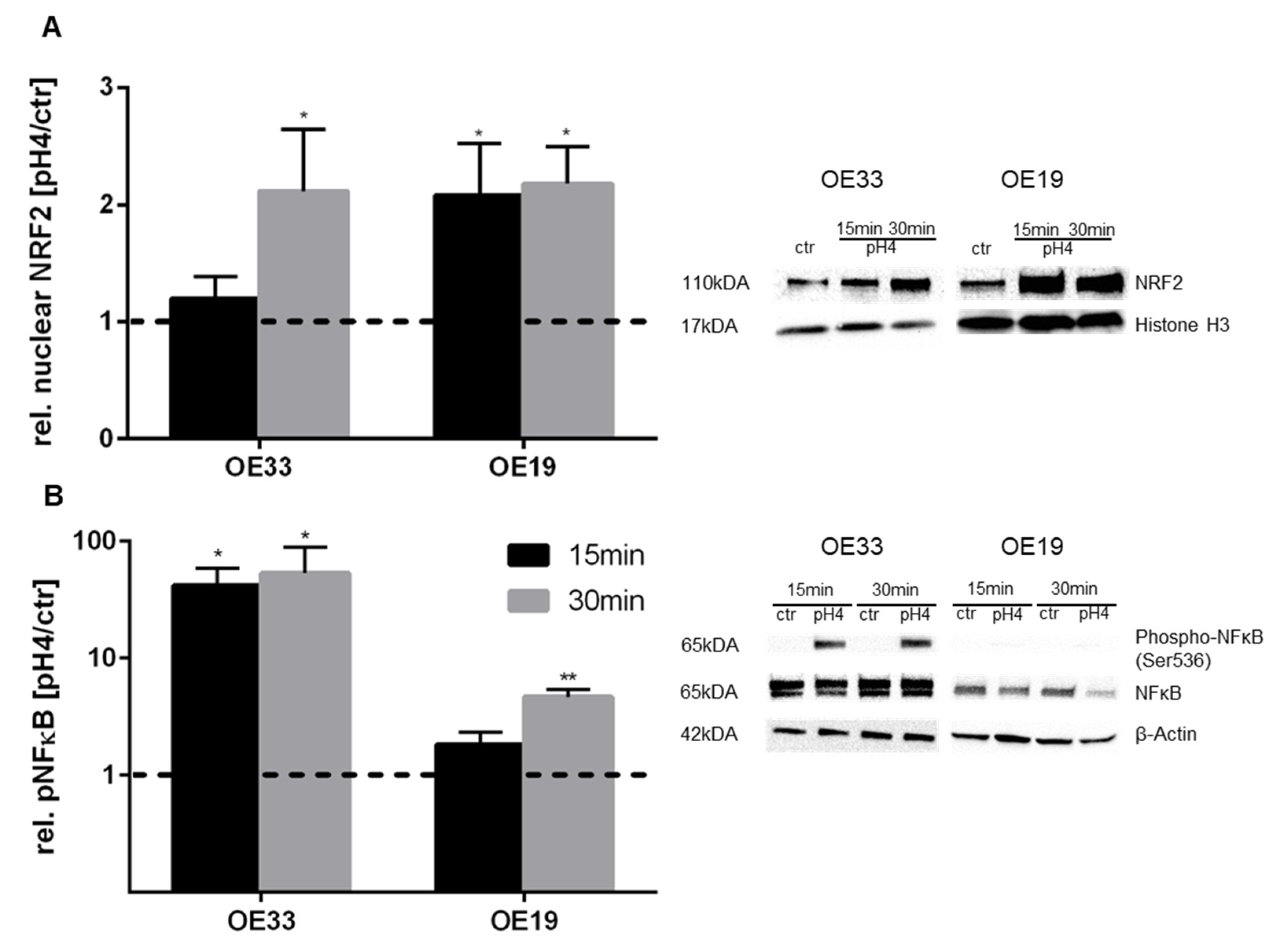 Cancers 13 02806 g005