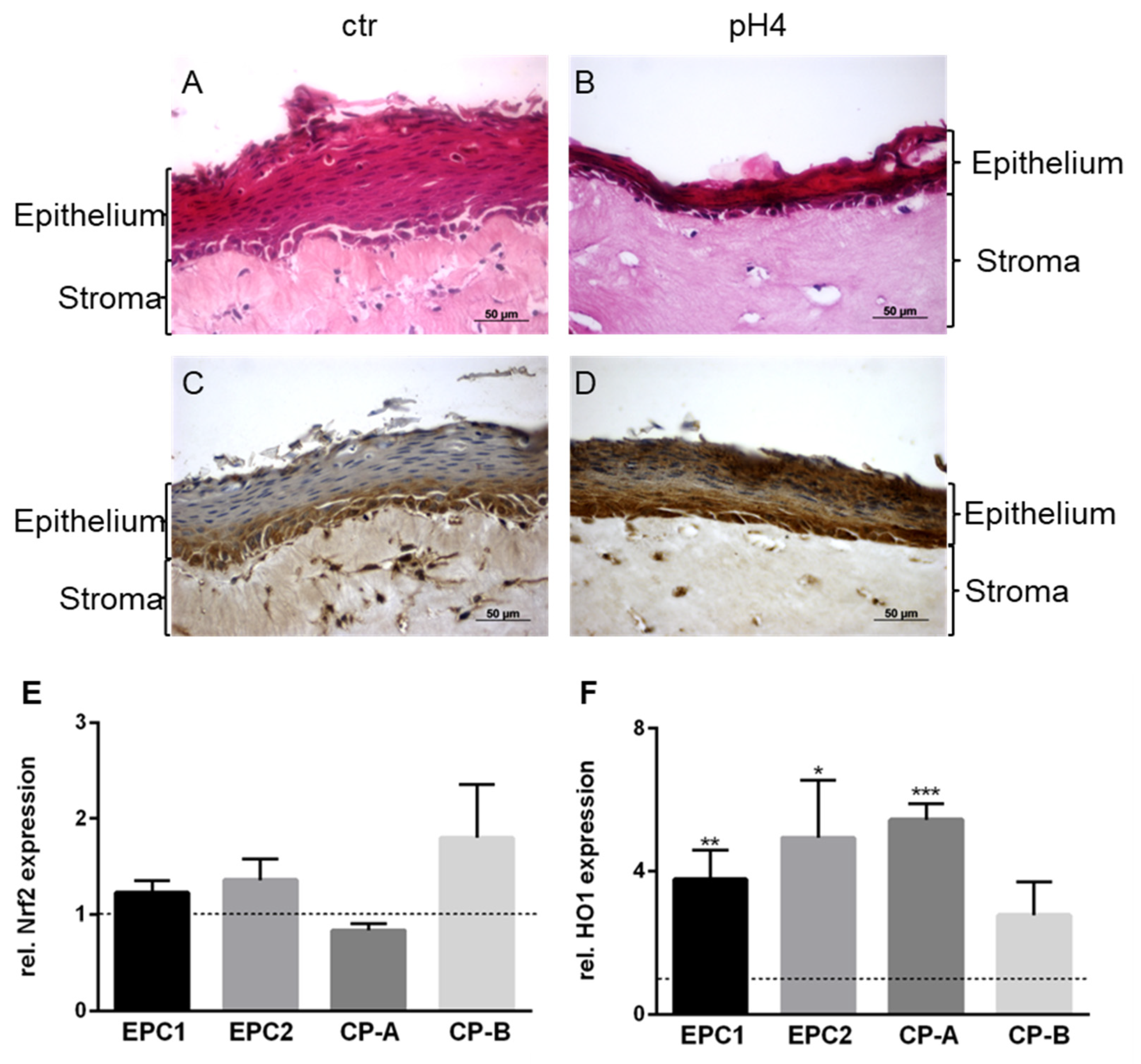 Cancers 13 02806 g007