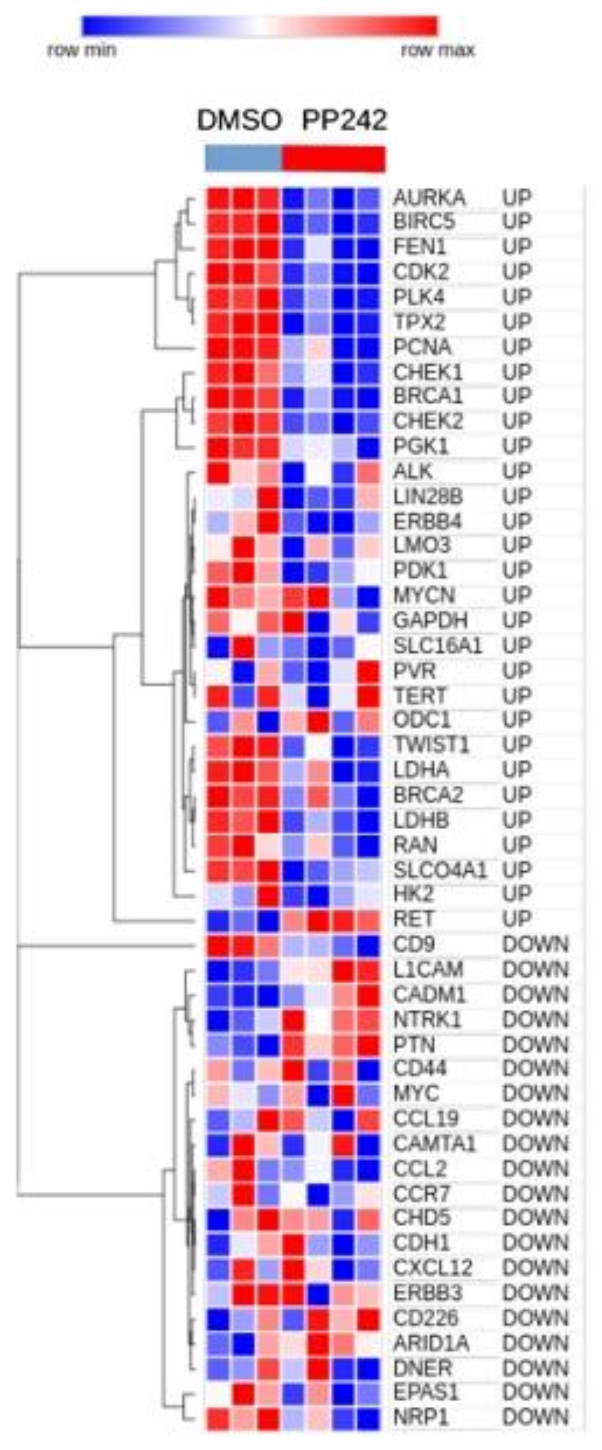 Cancers 13 02809 g005