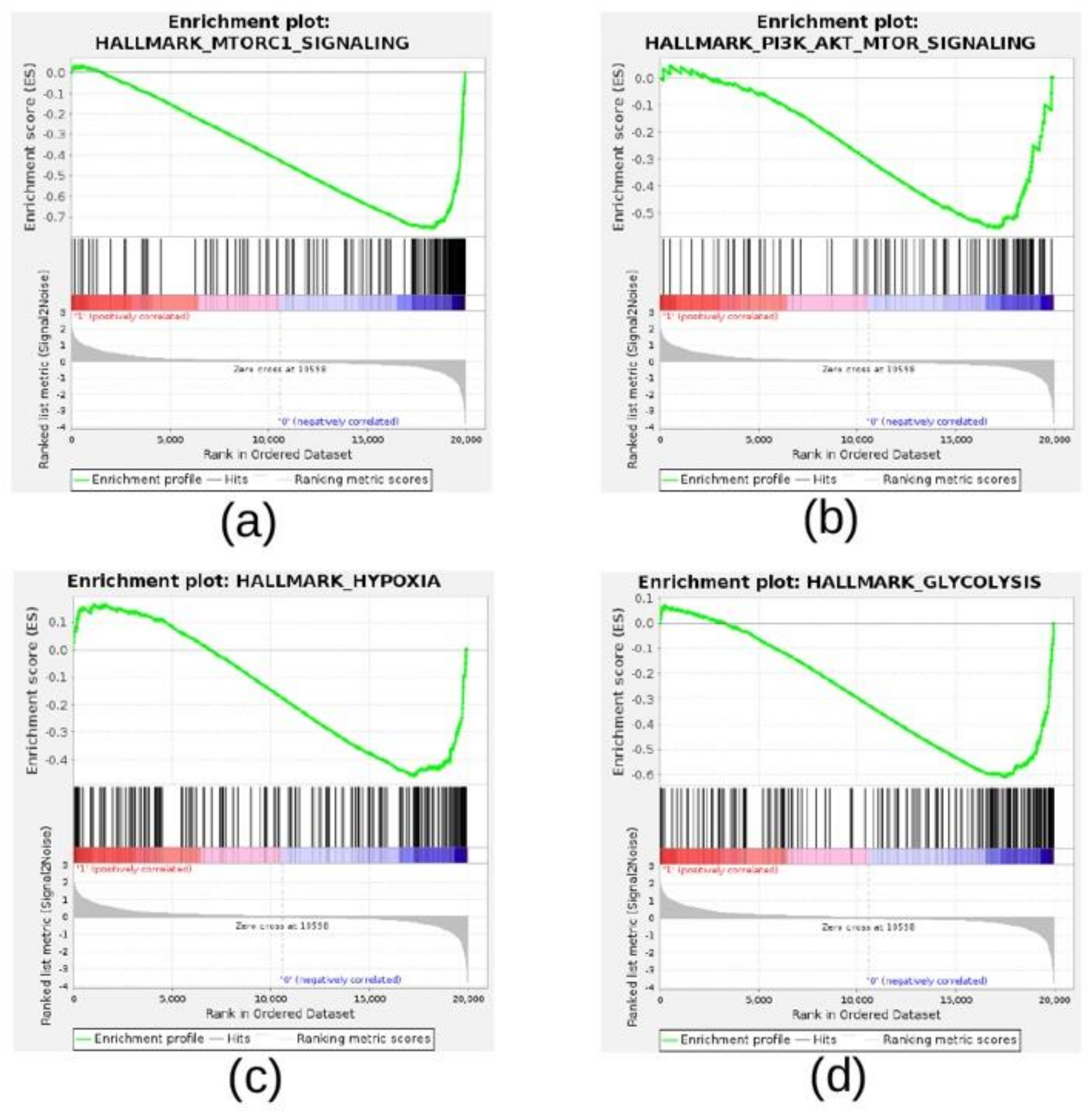 Cancers 13 02809 g008