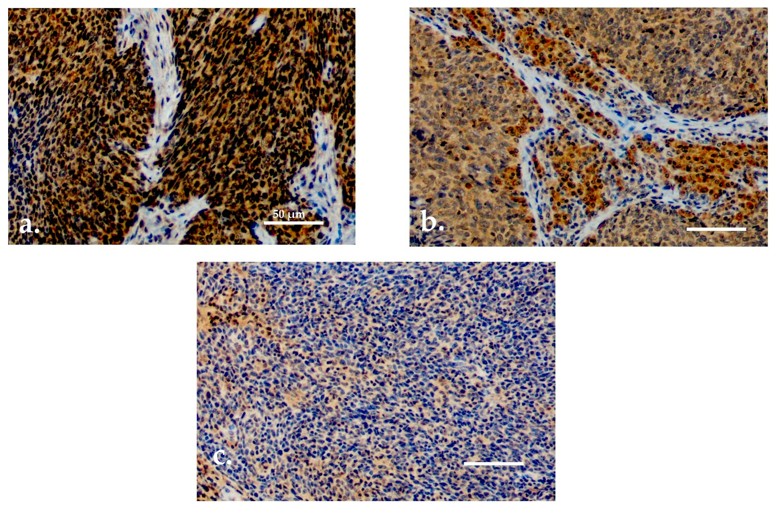 Cancers 13 02811 g002 Cancers 13 02811 g002