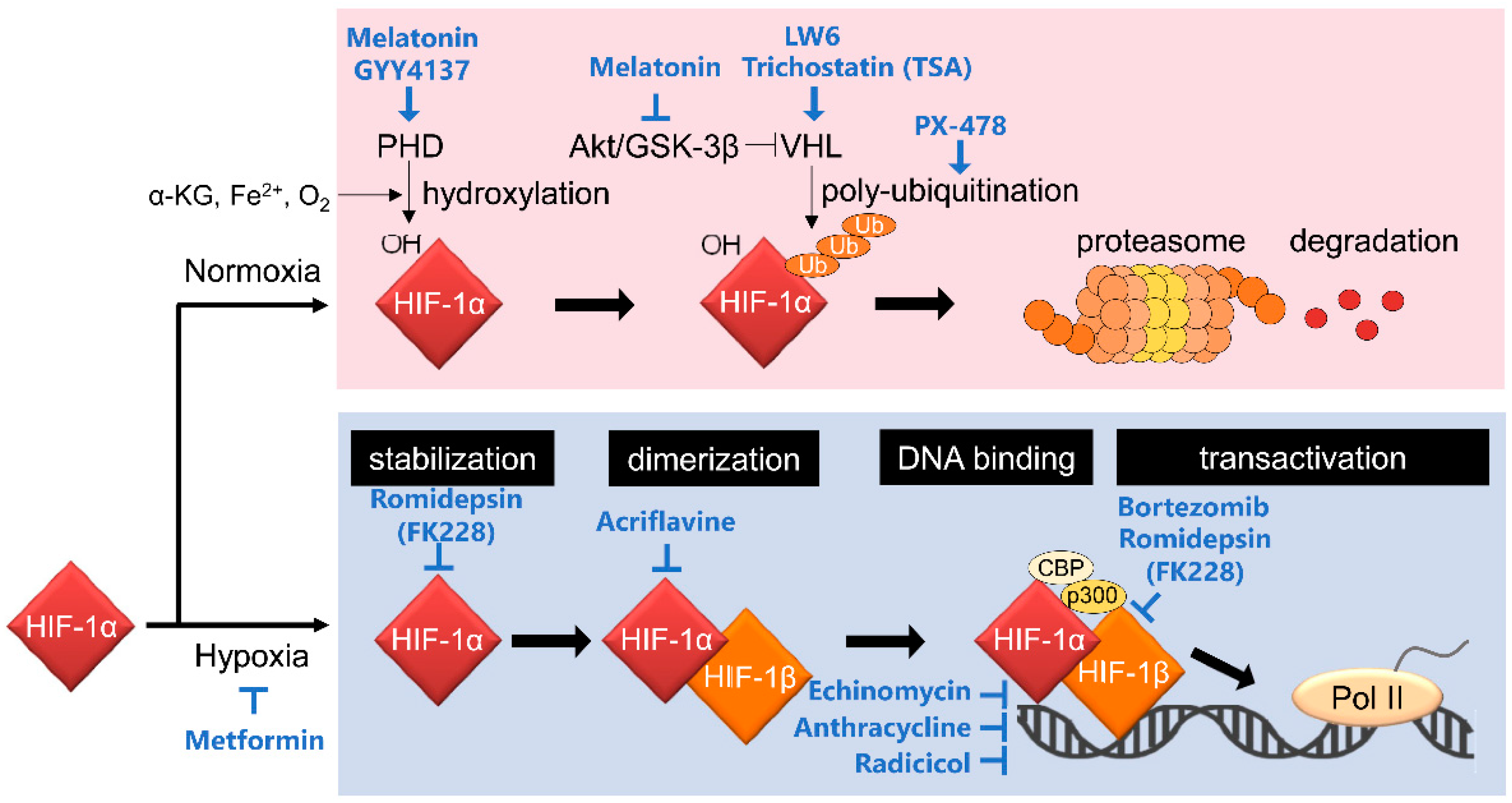 Cancers 13 02813 g001