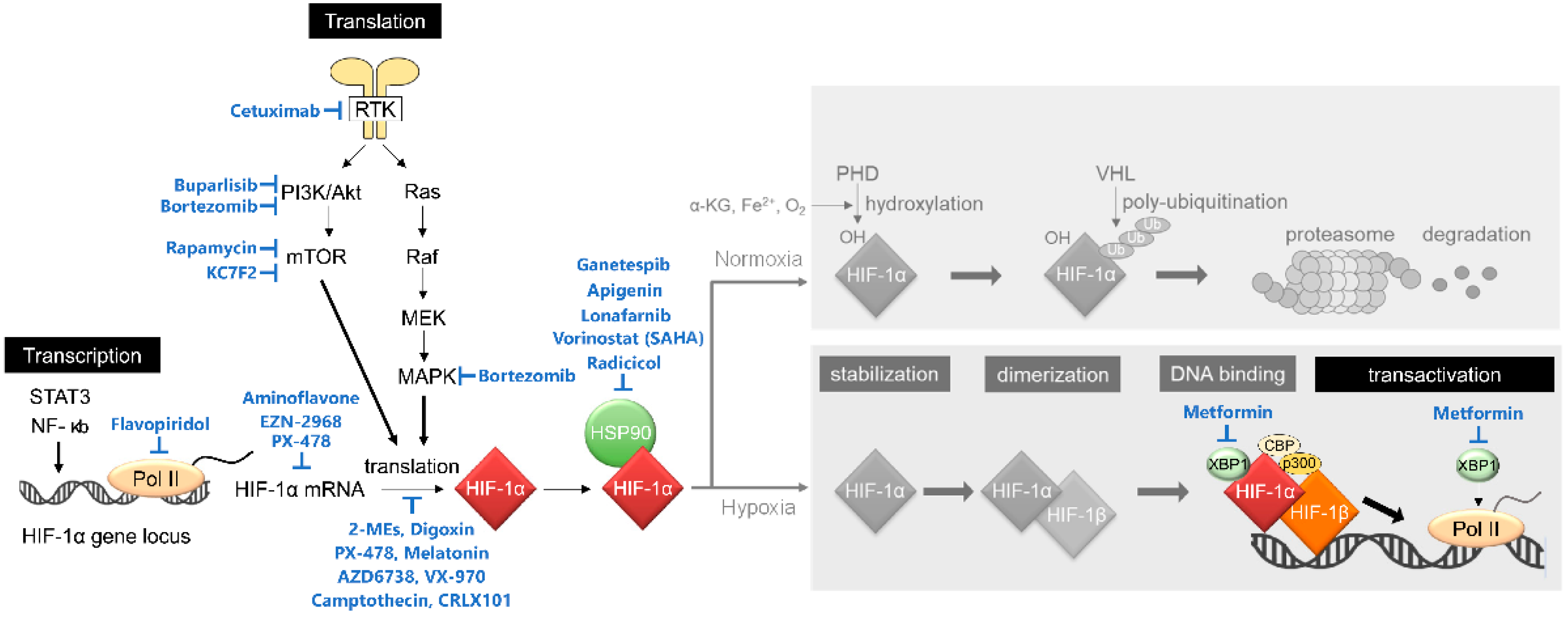Cancers 13 02813 g002