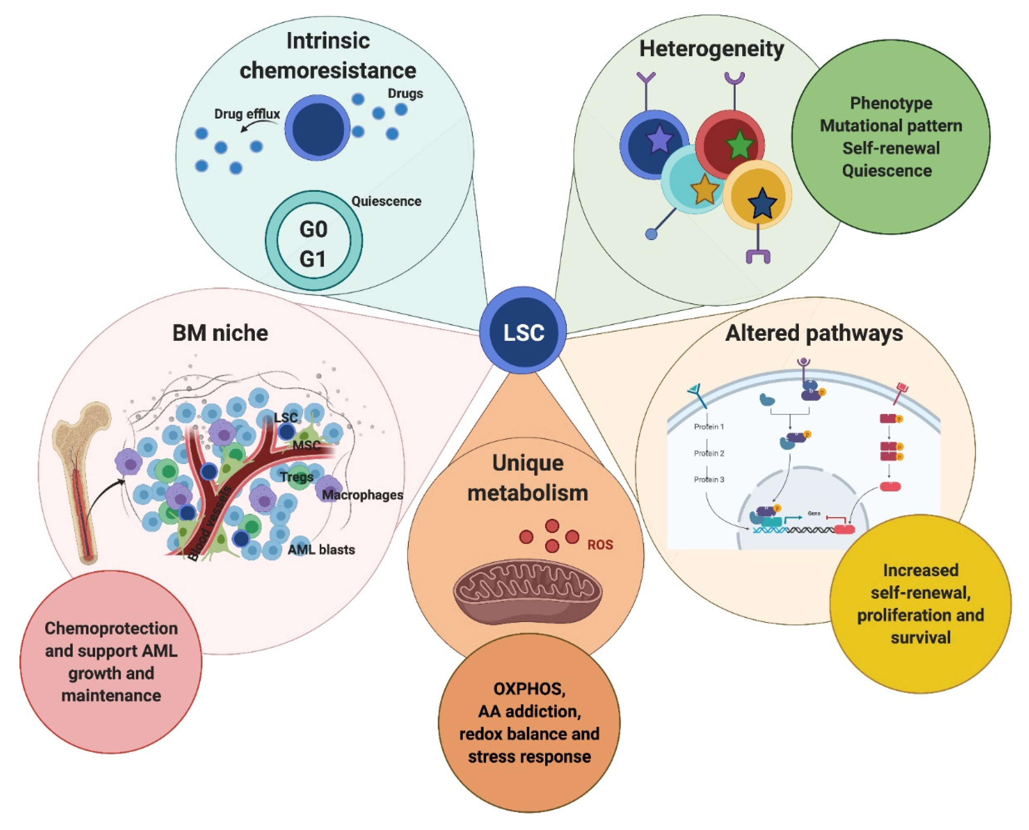 Cancers 13 02816 g001 Cancers 13 02816 g001