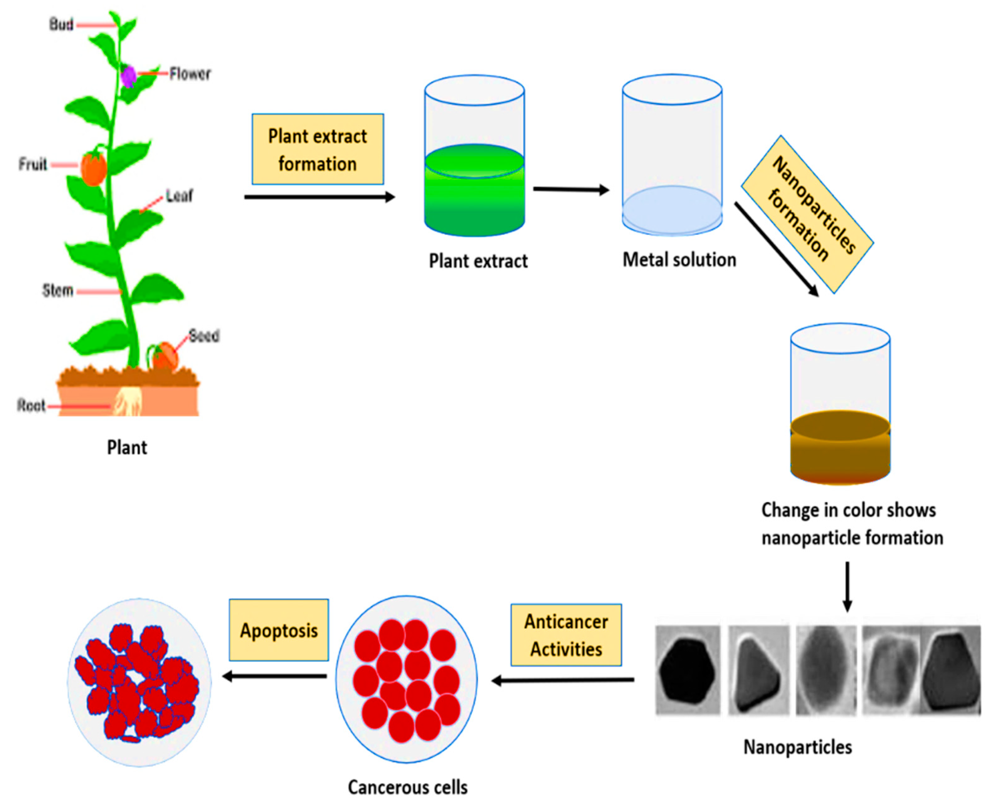 Cancers 13 02818 g007