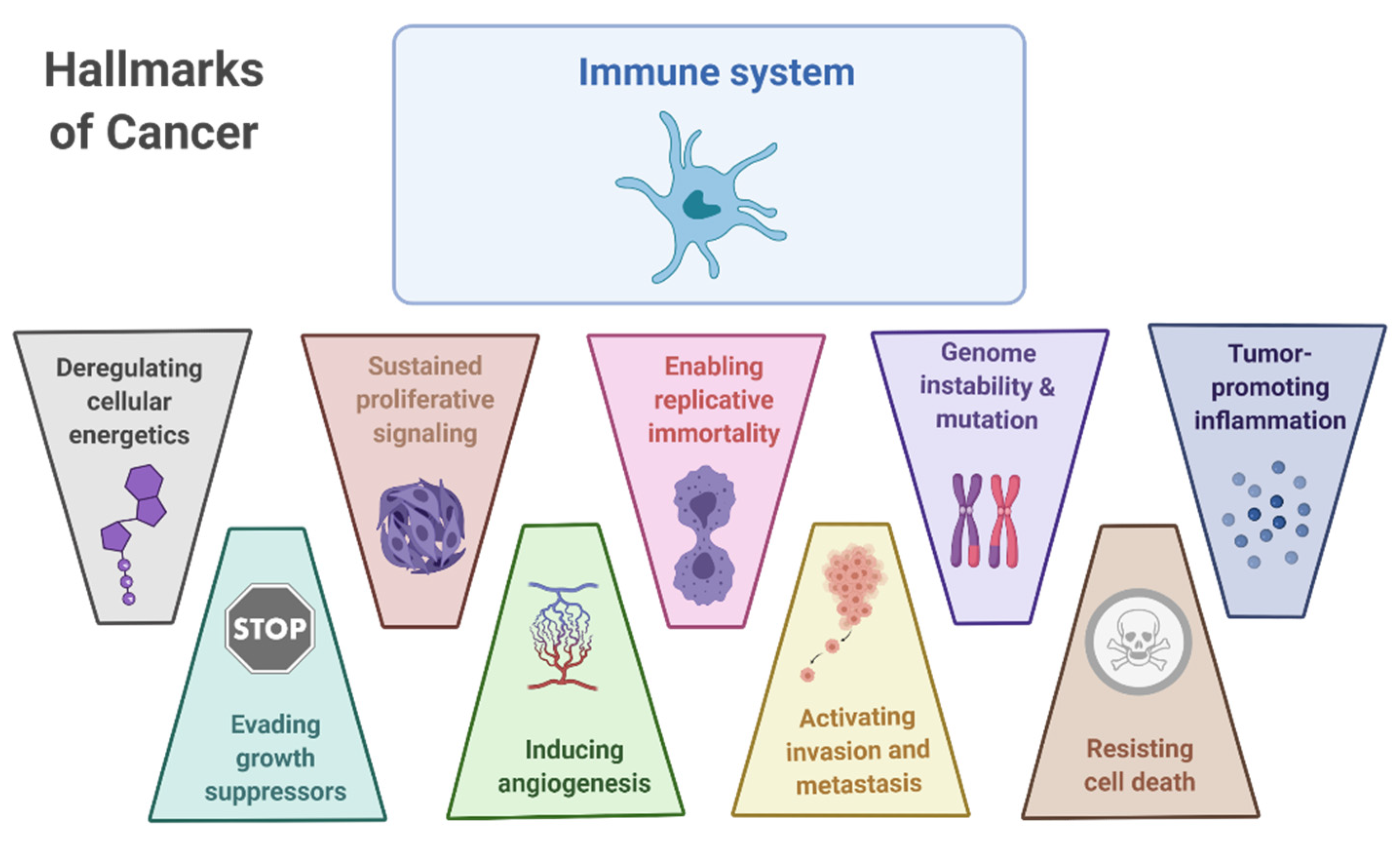 Cancers 13 02821 g001