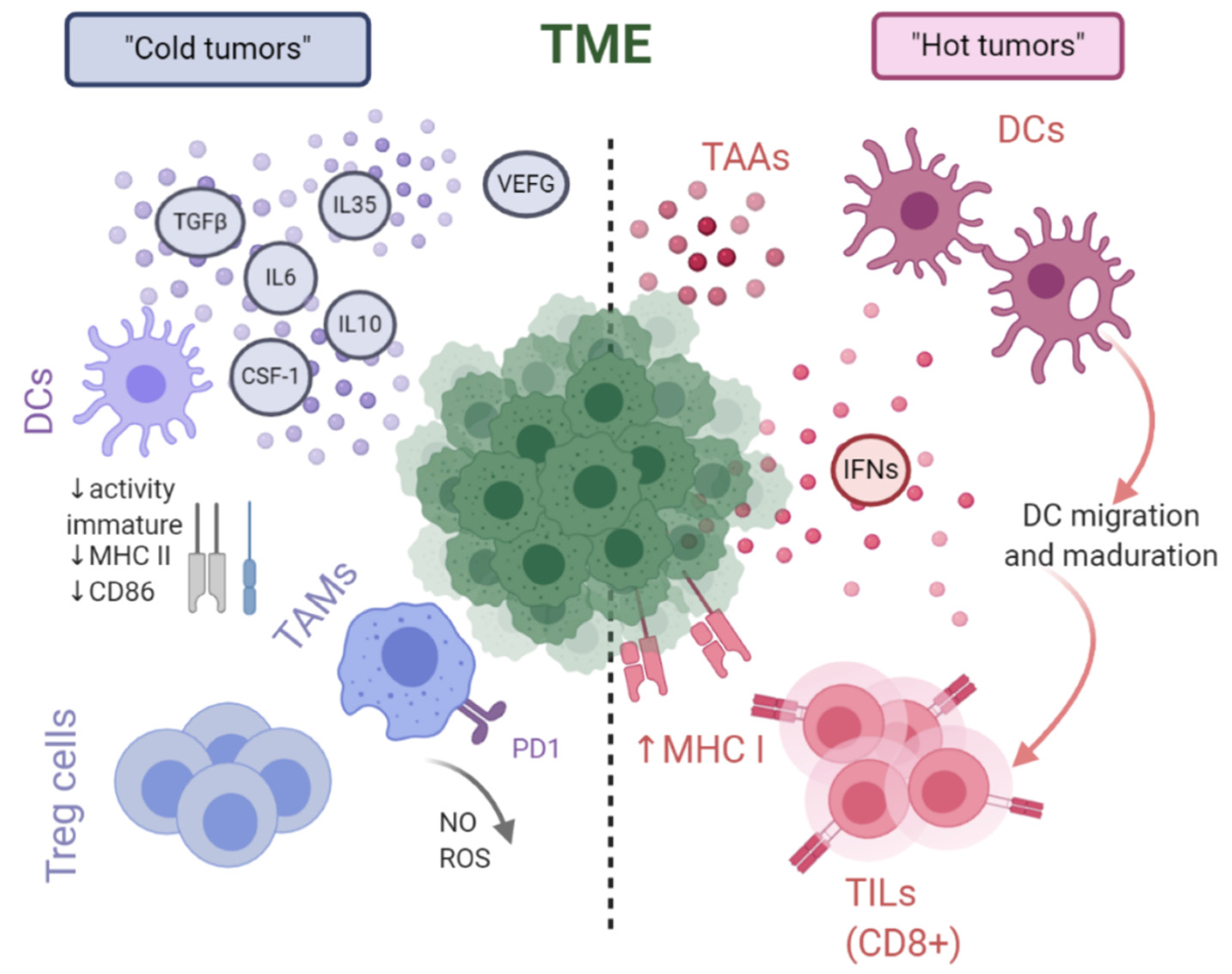 Cancers 13 02821 g002