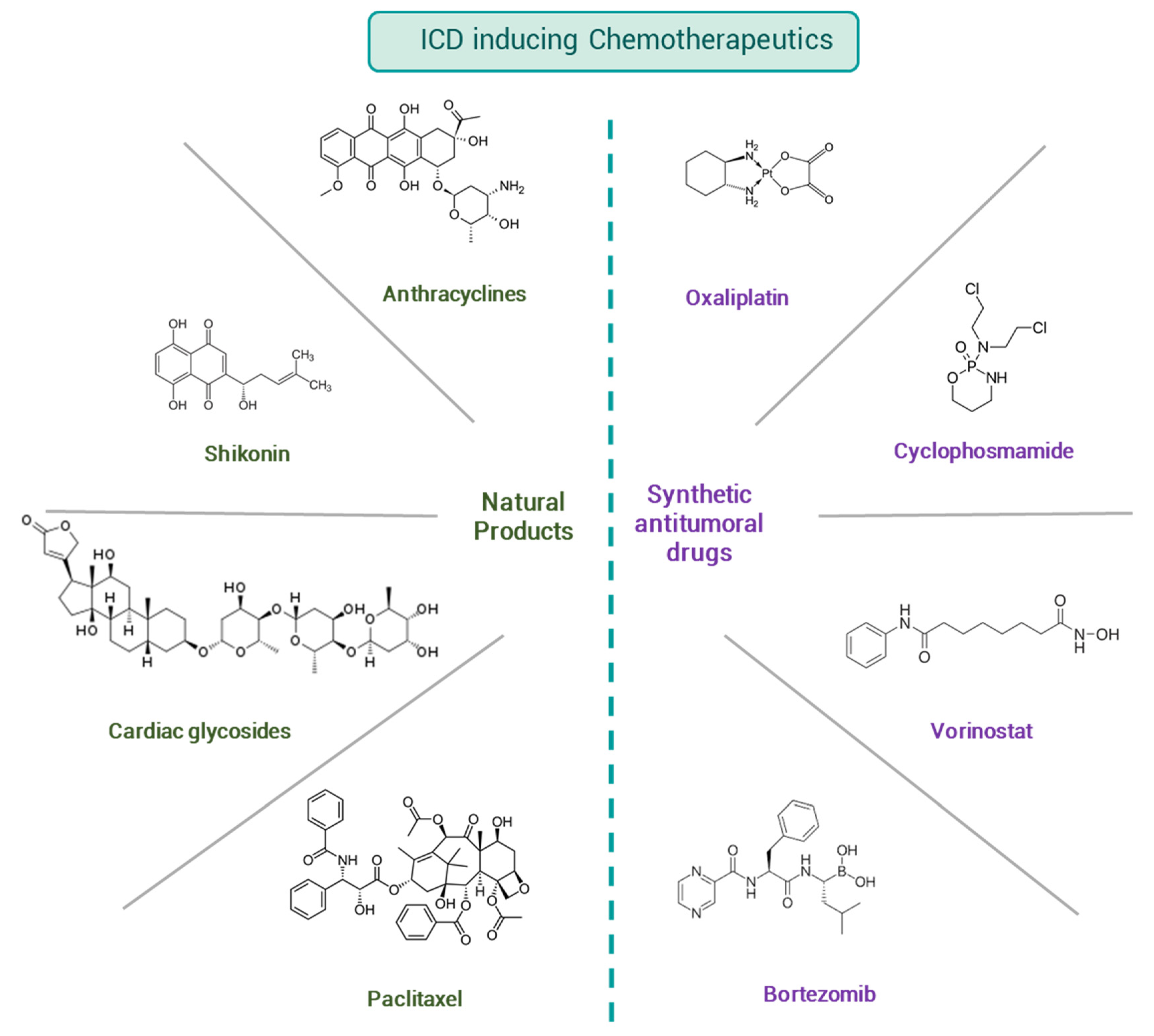 Cancers 13 02821 g008