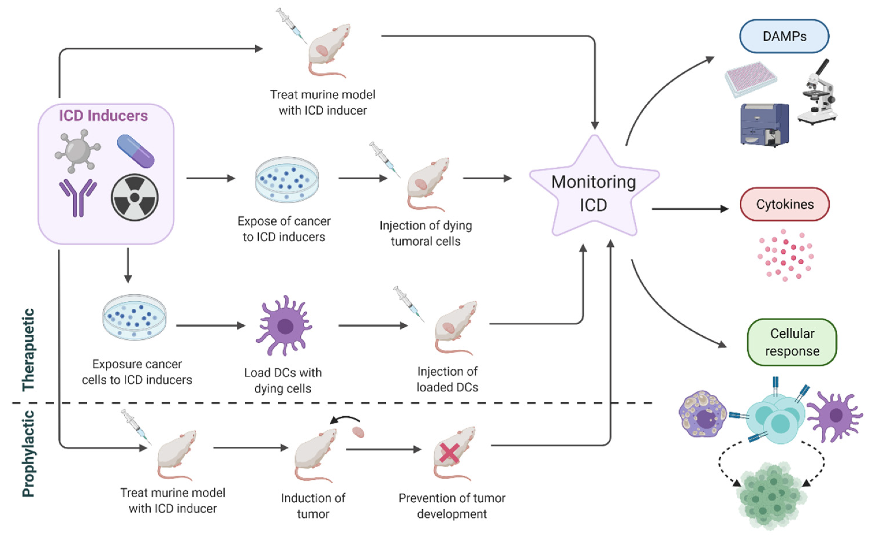 Cancers 13 02821 g009