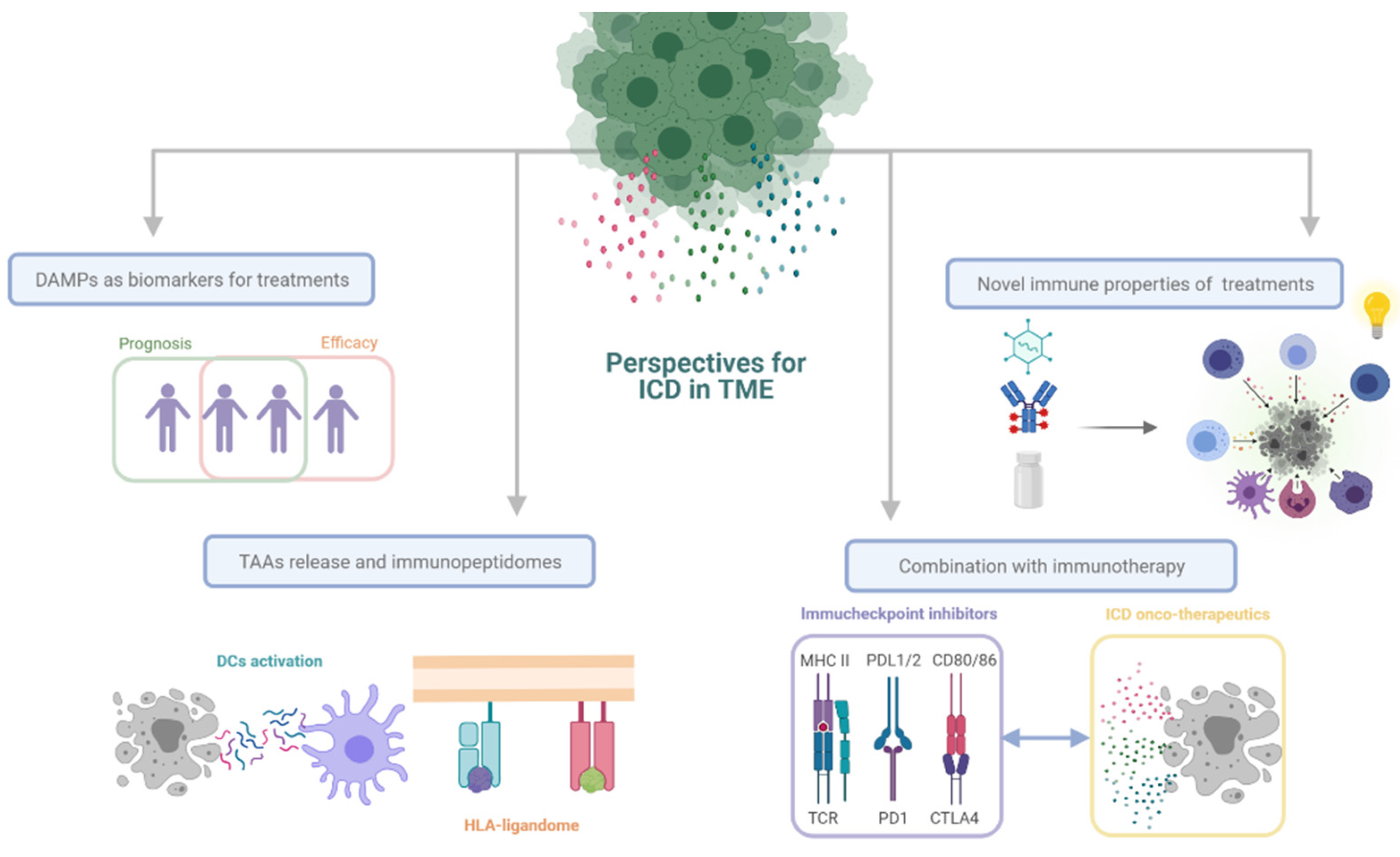 Cancers 13 02821 g010