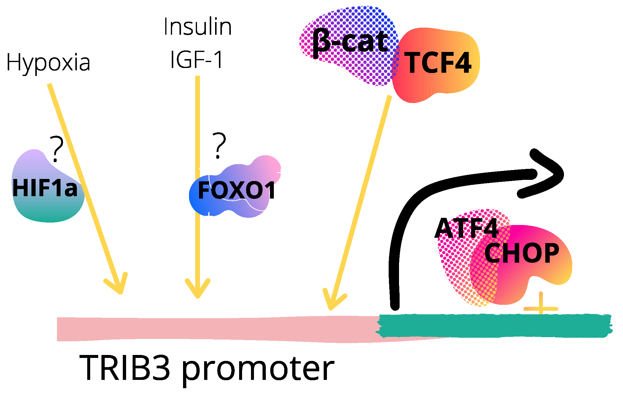 Cancers 13 02825 g002