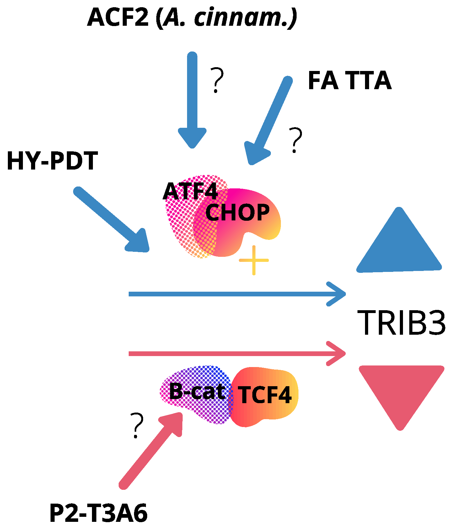 Cancers 13 02825 g003