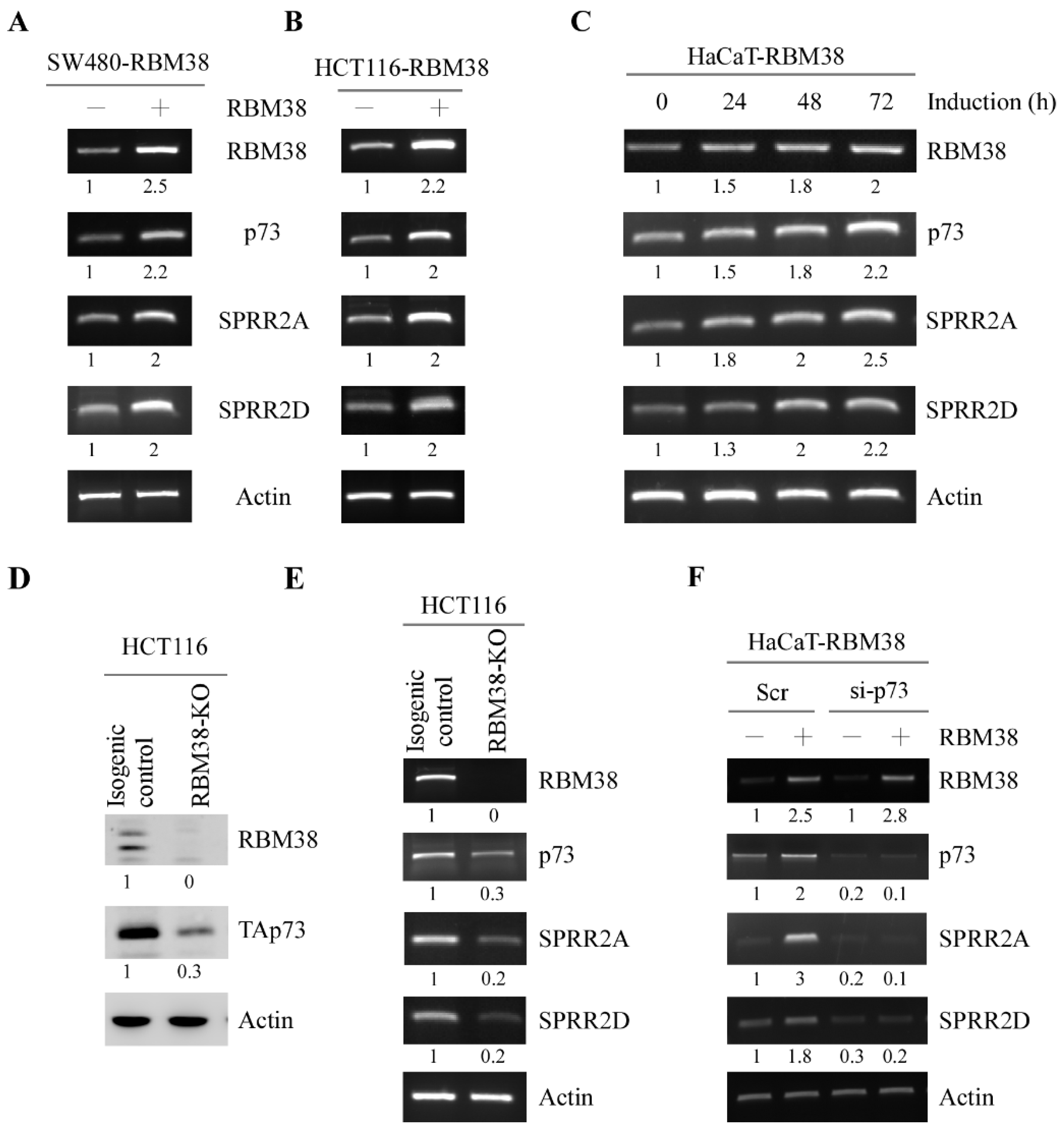 Cancers 13 02829 g001