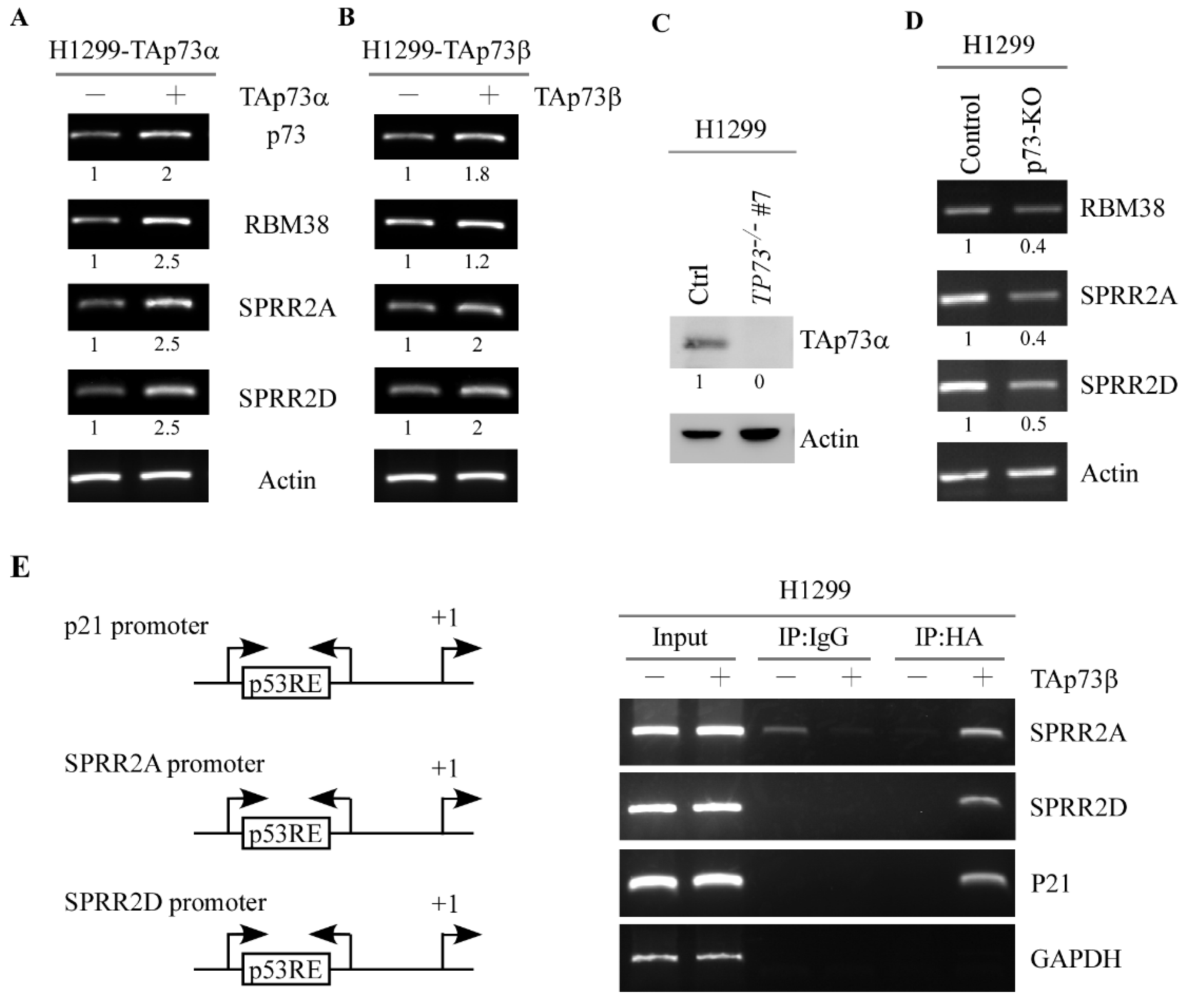 Cancers 13 02829 g002