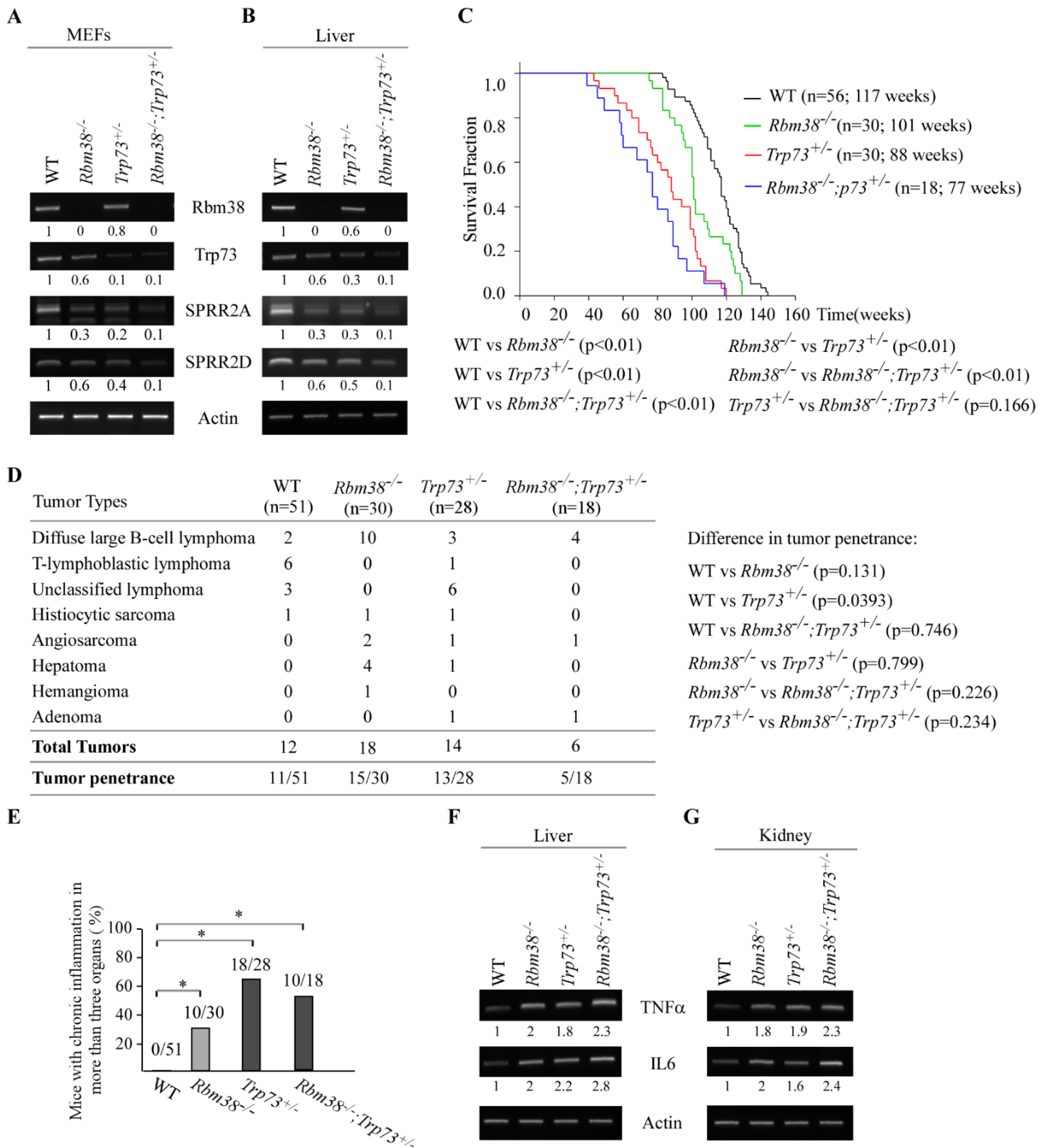 Cancers 13 02829 g005