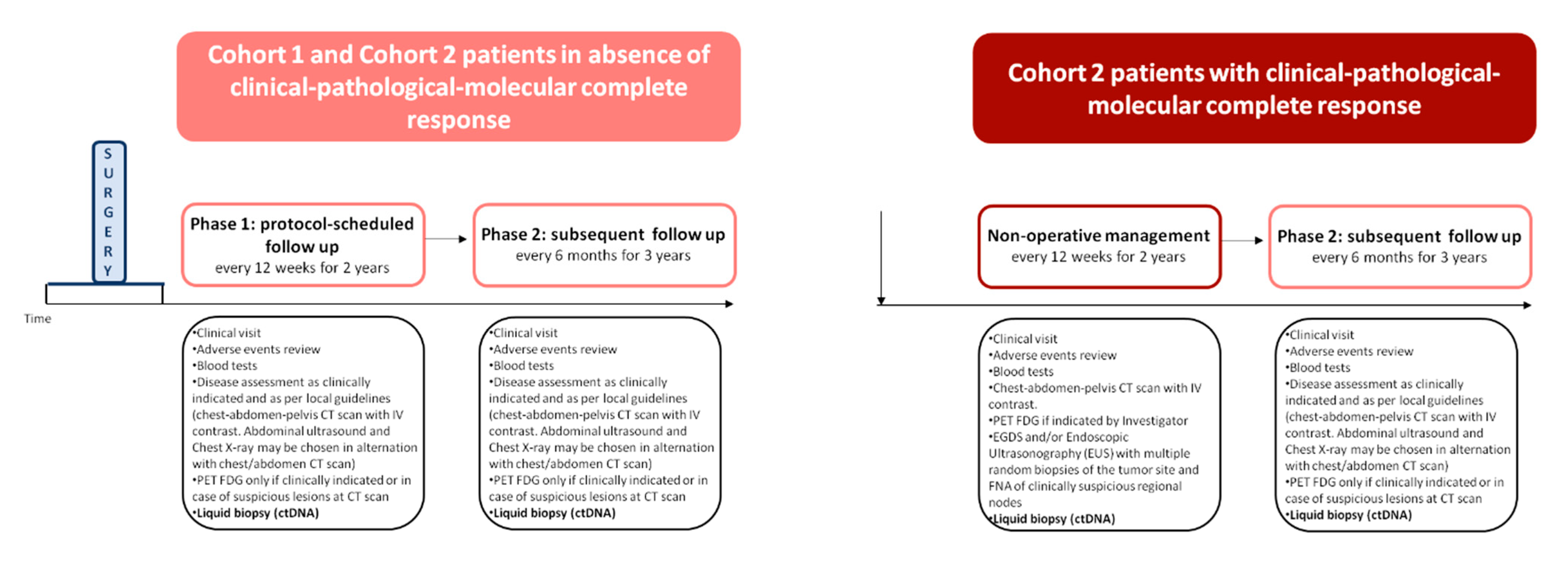 Cancers 13 02839 g002