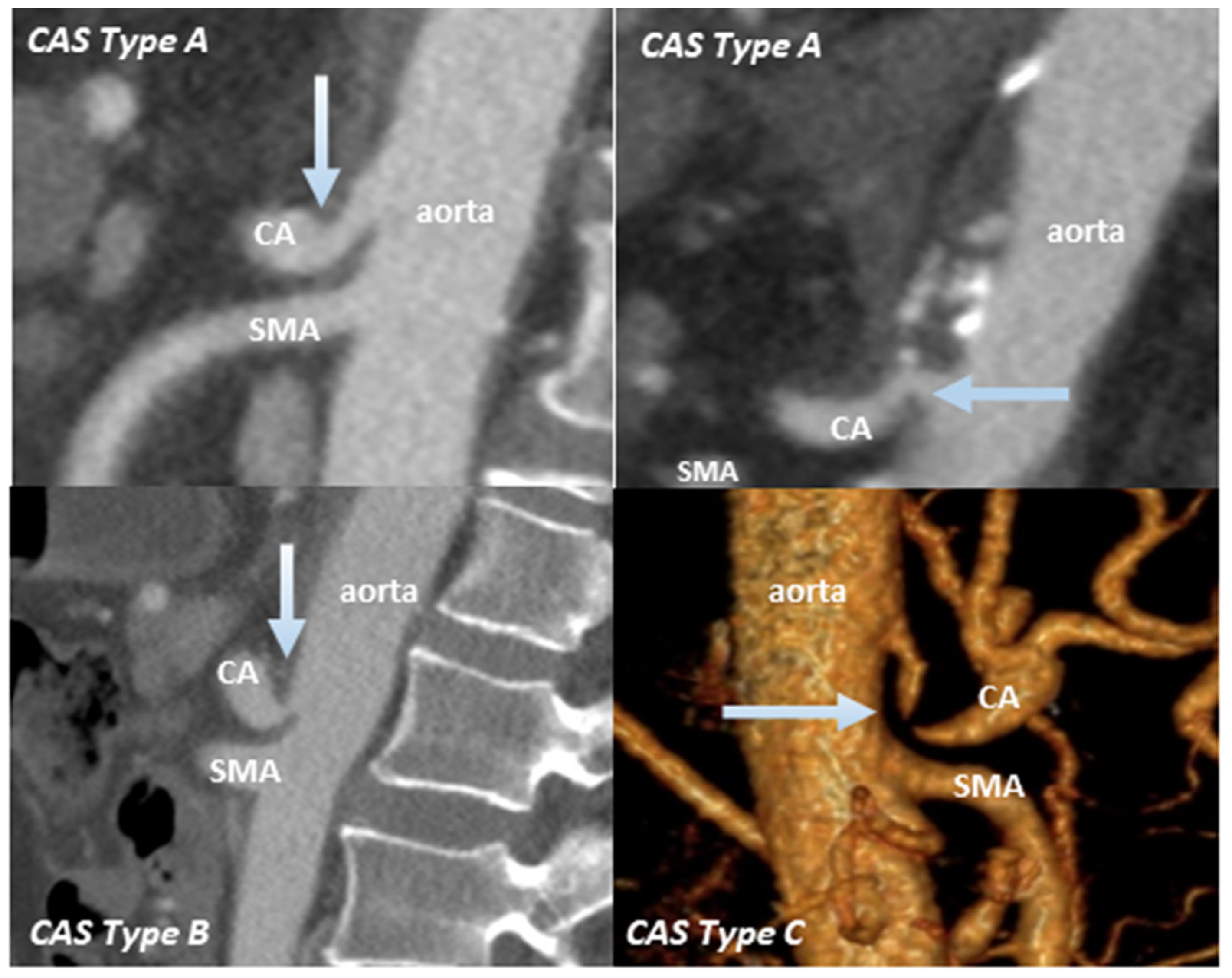 Cancers 13 02846 g002