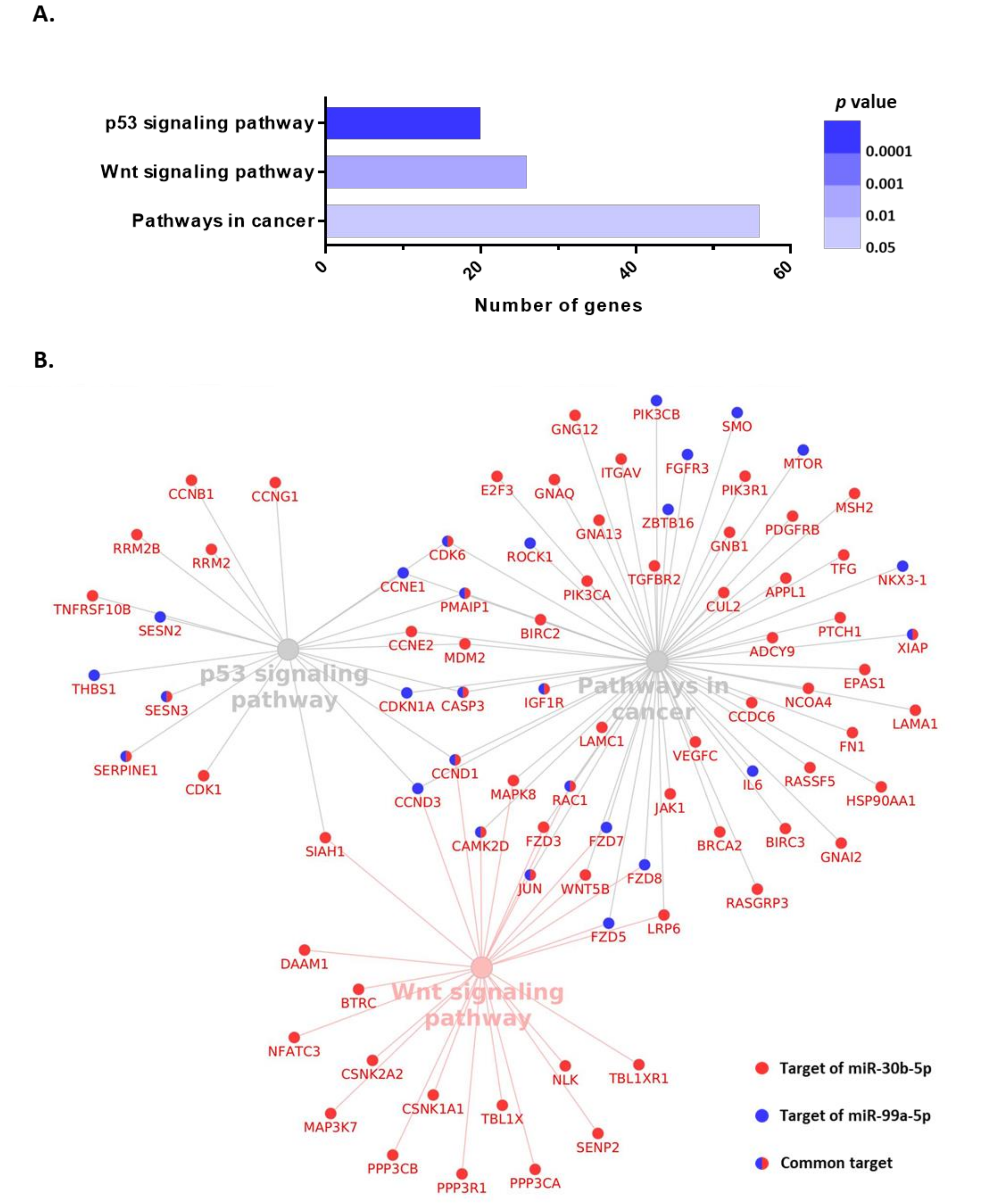 Cancers 13 02848 g006