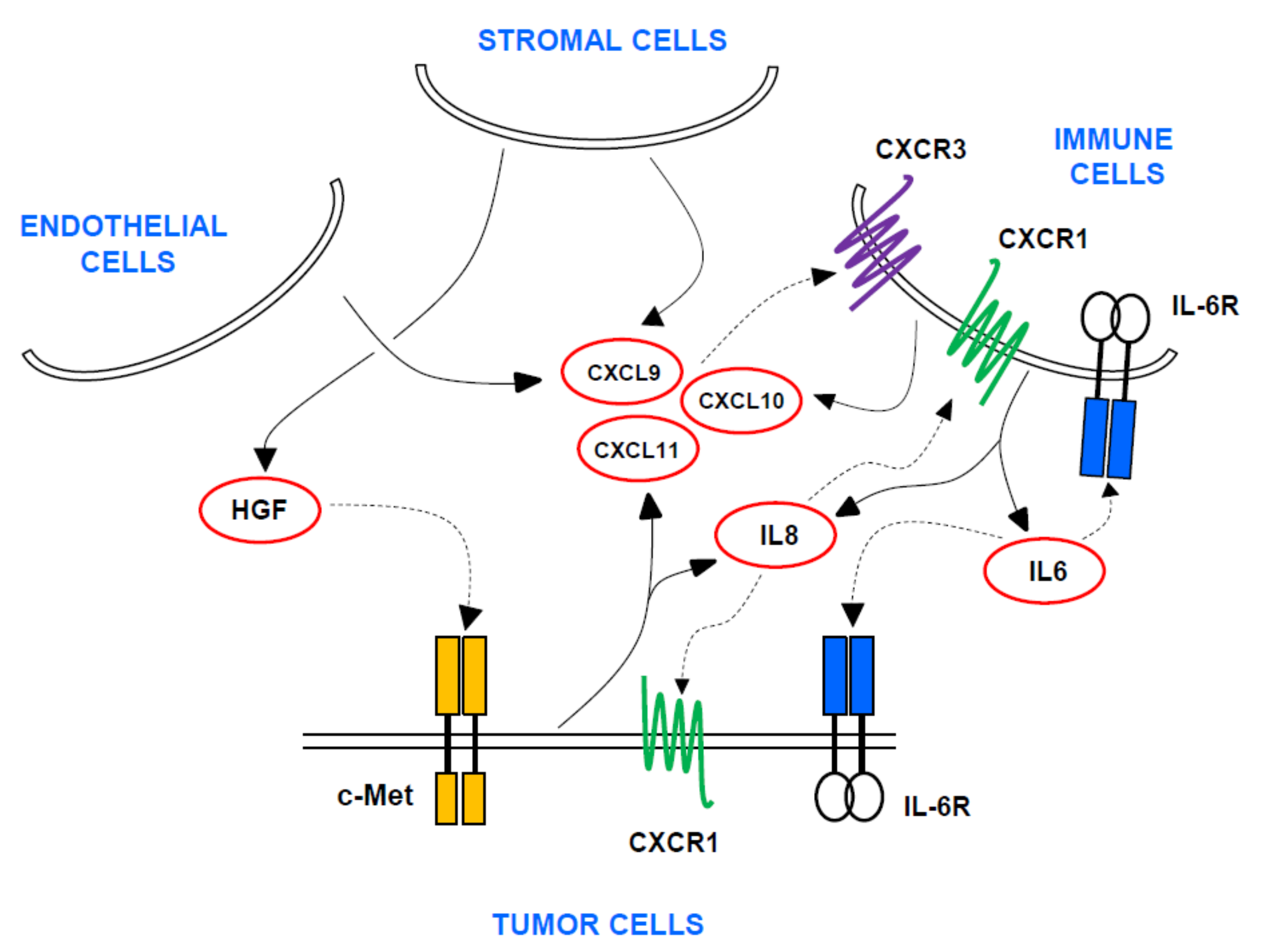 Cancers 13 02849 g001