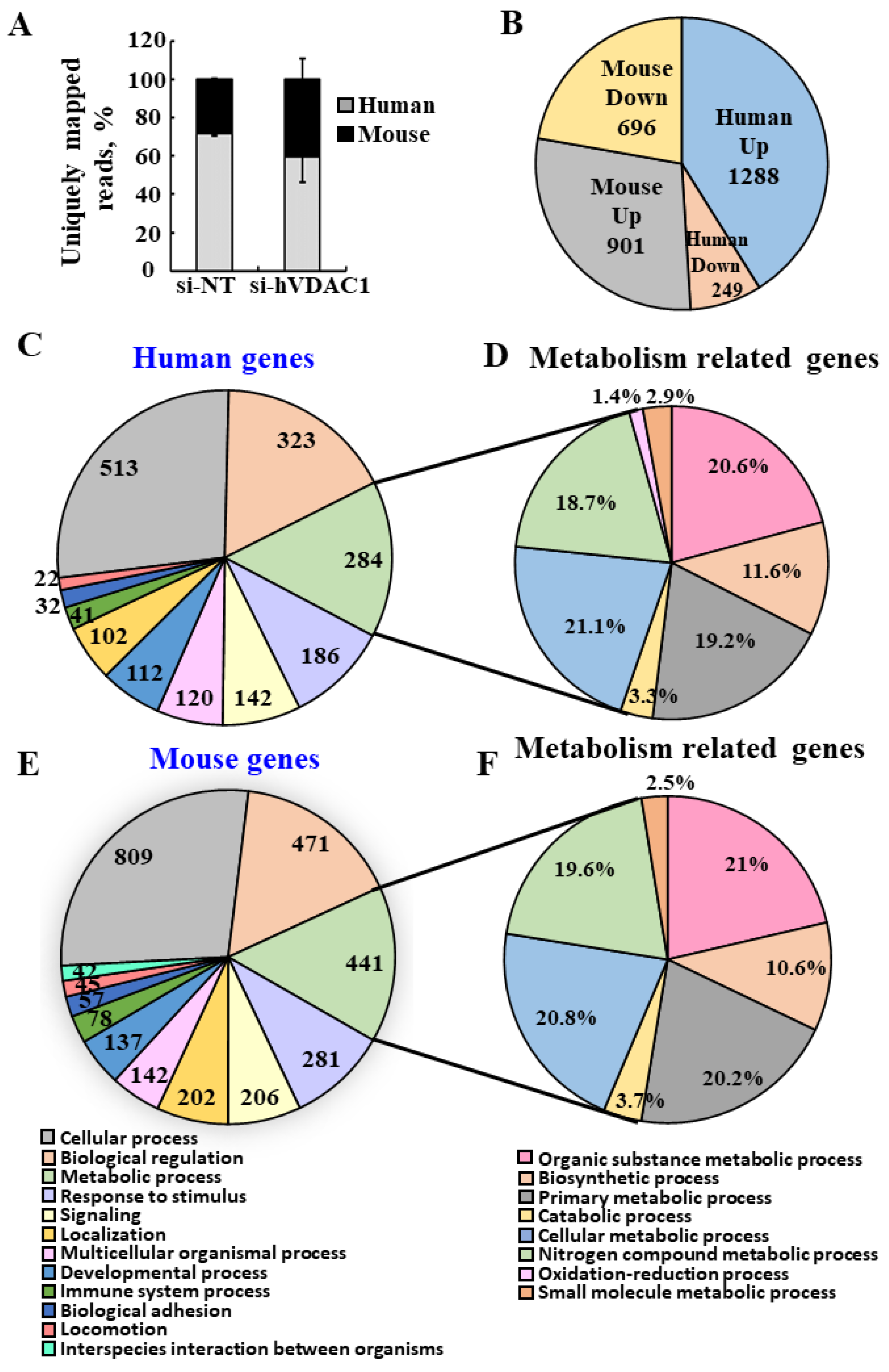 Cancers 13 02850 g002 Cancers 13 02850 g002