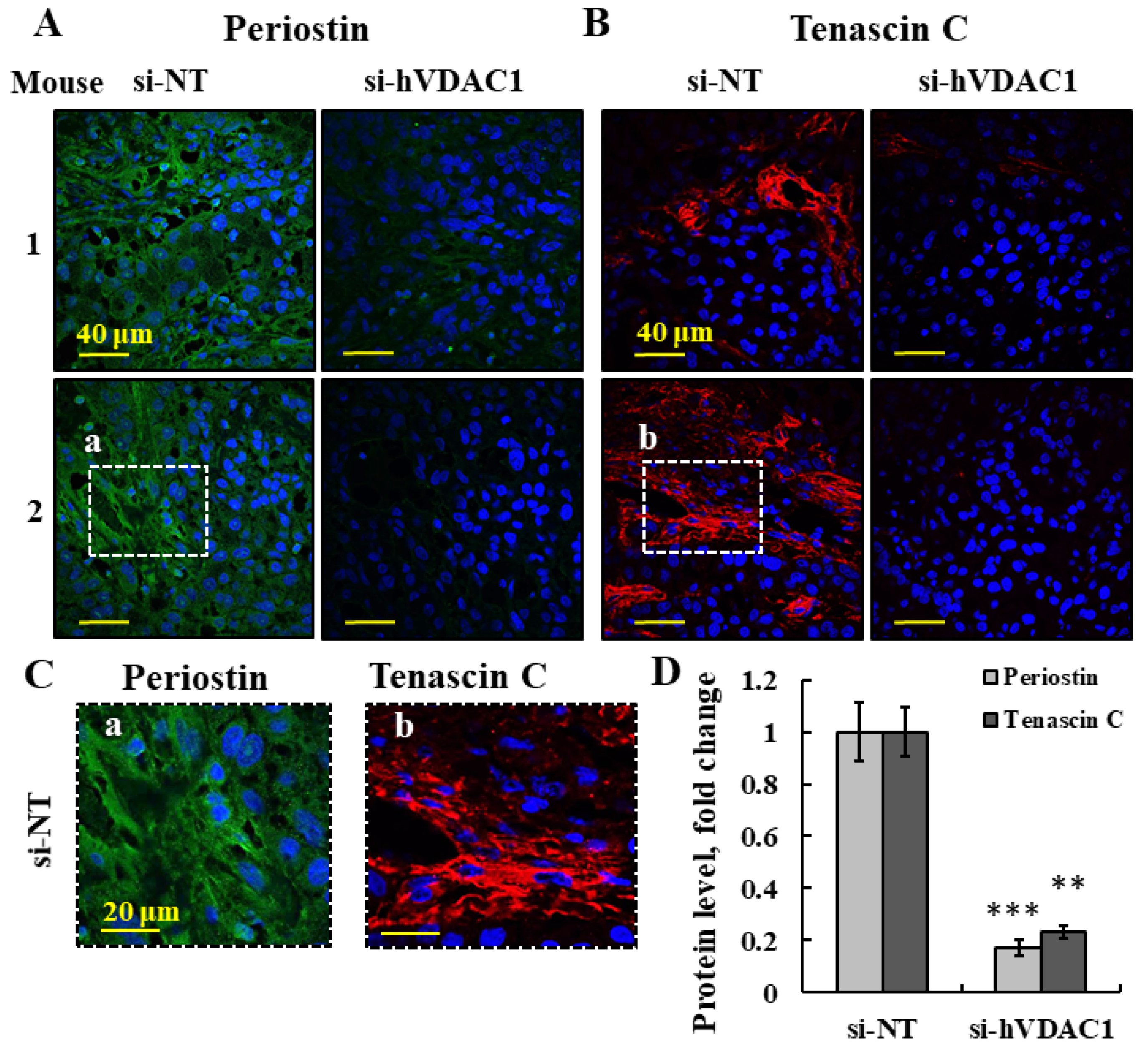 Cancers 13 02850 g004 Cancers 13 02850 g004