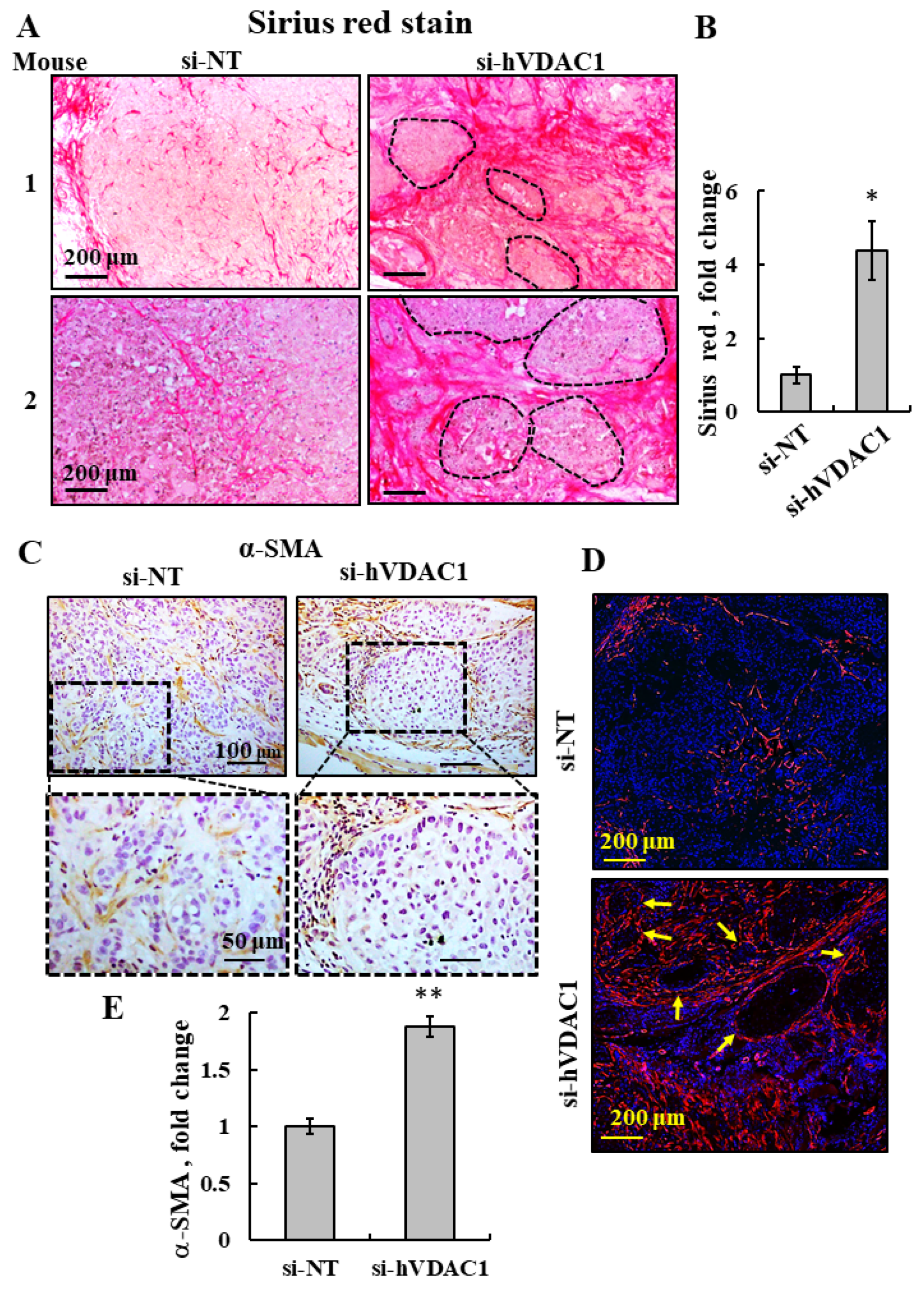 Cancers 13 02850 g006 Cancers 13 02850 g006