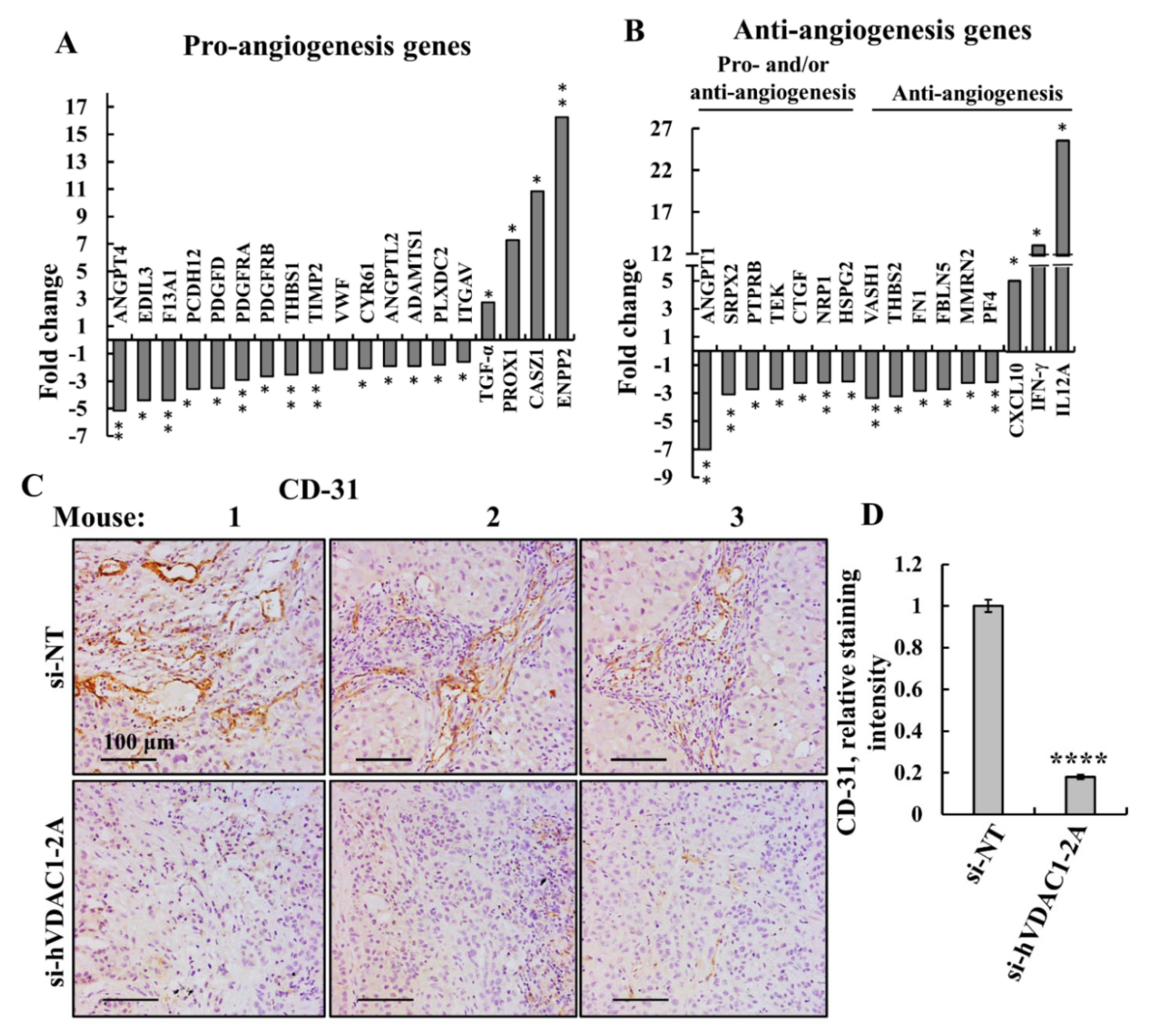 Cancers 13 02850 g007 Cancers 13 02850 g007