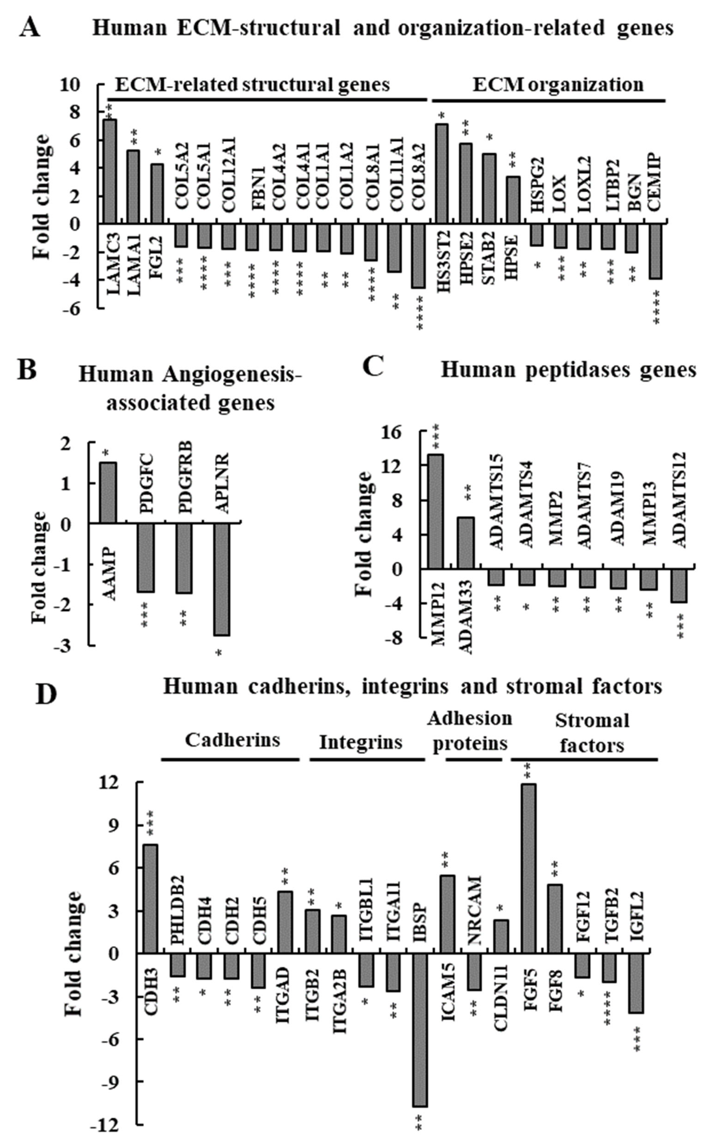 Cancers 13 02850 g008 Cancers 13 02850 g008