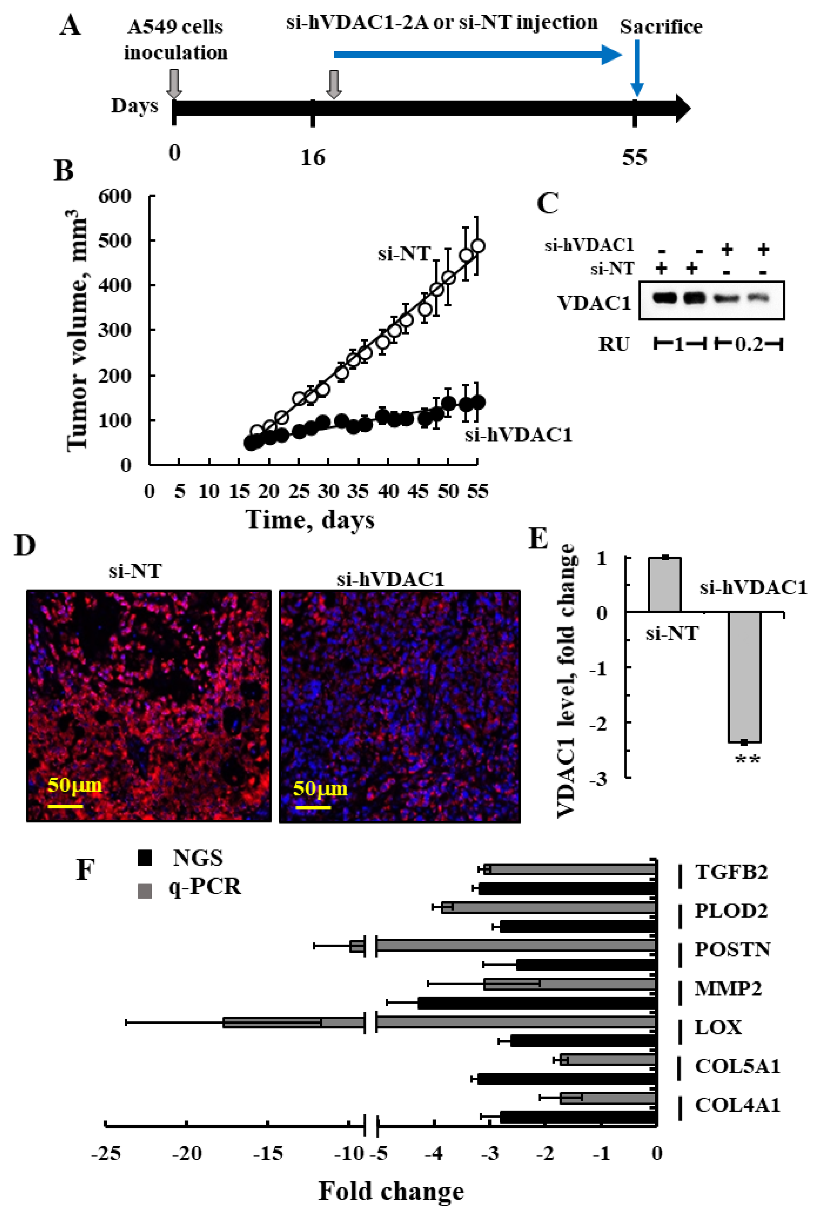 Cancers 13 02850 g009 Cancers 13 02850 g009