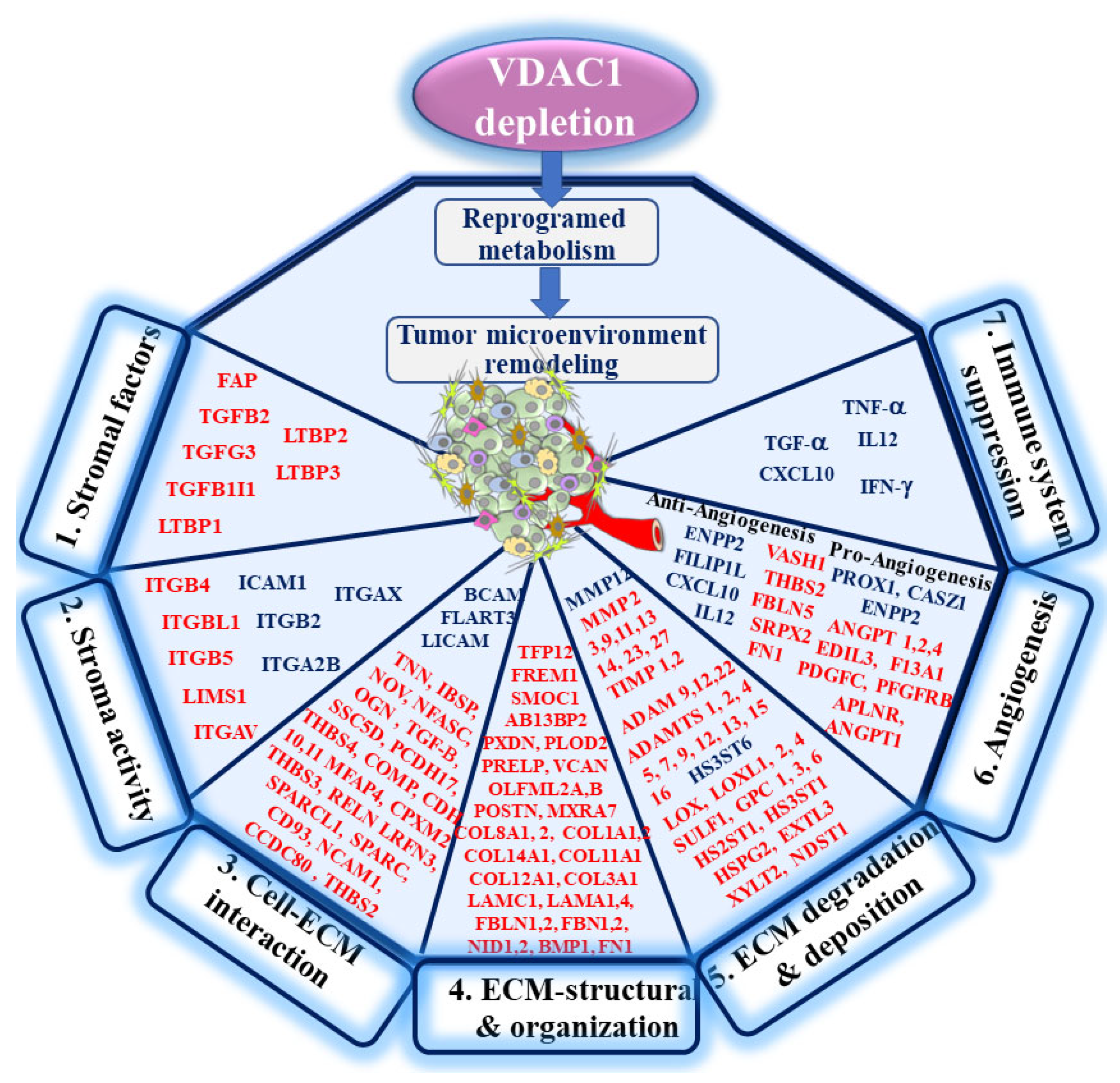 Cancers 13 02850 g010