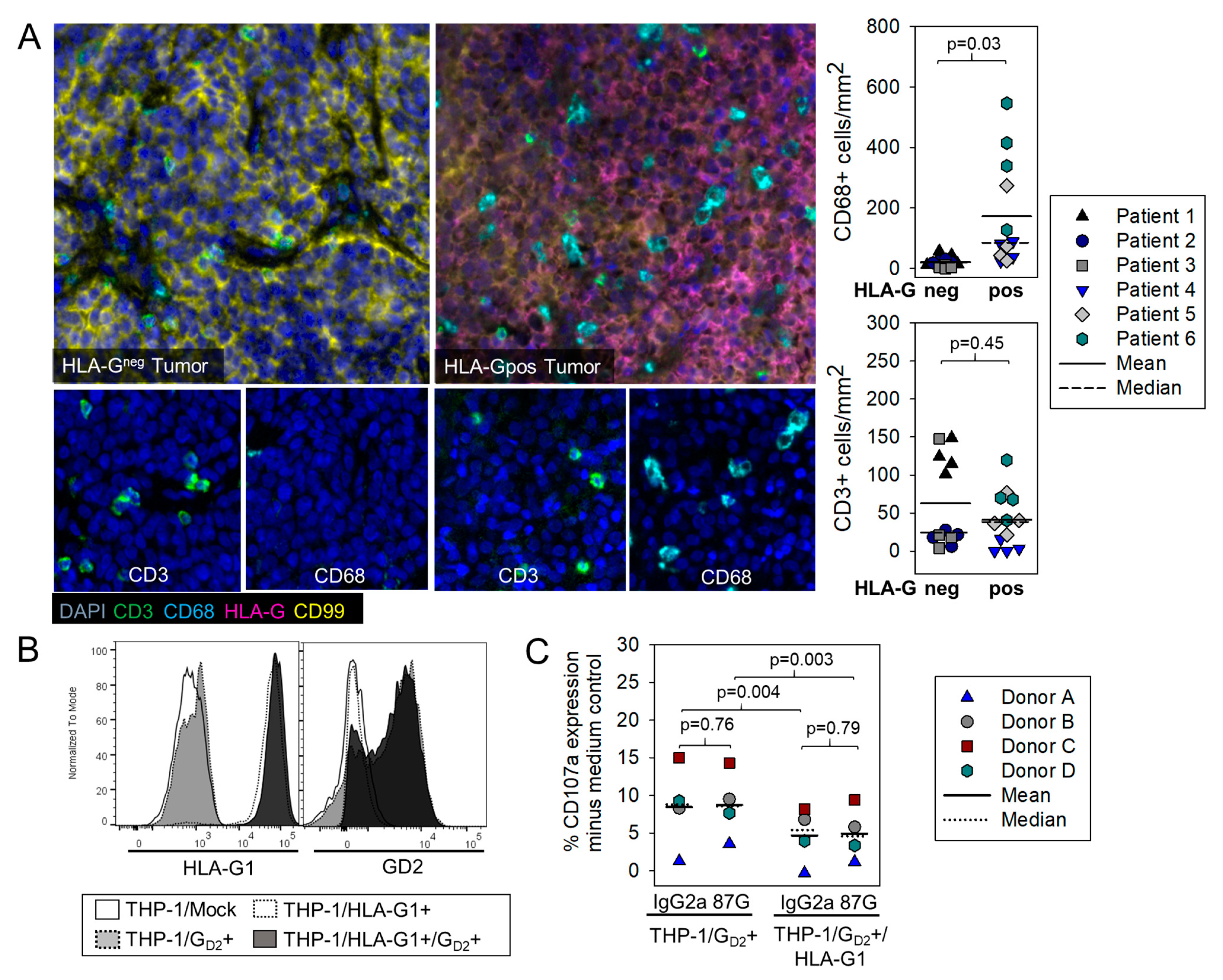 Cancers 13 02857 g003