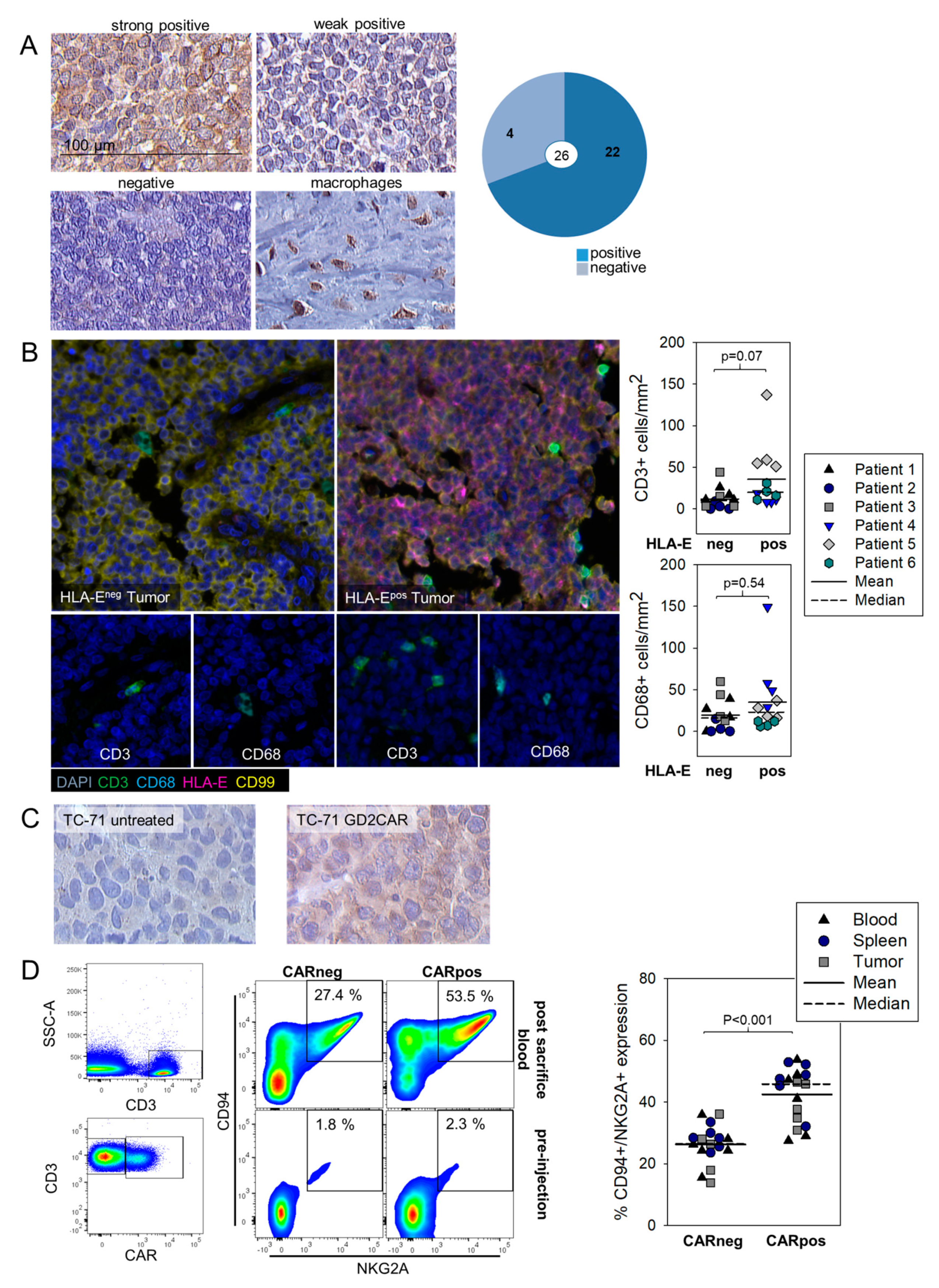 Cancers 13 02857 g004