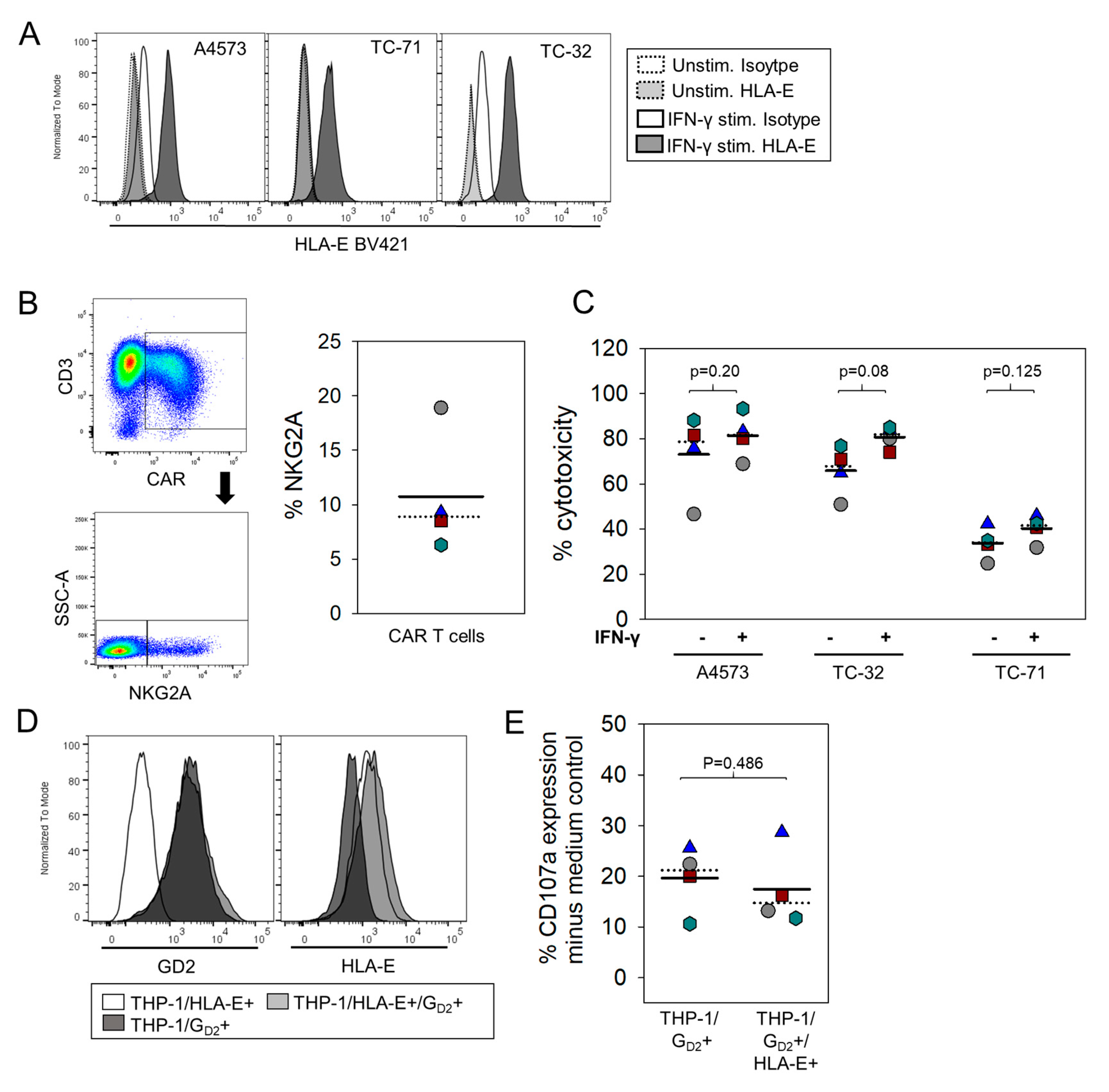 Cancers 13 02857 g005