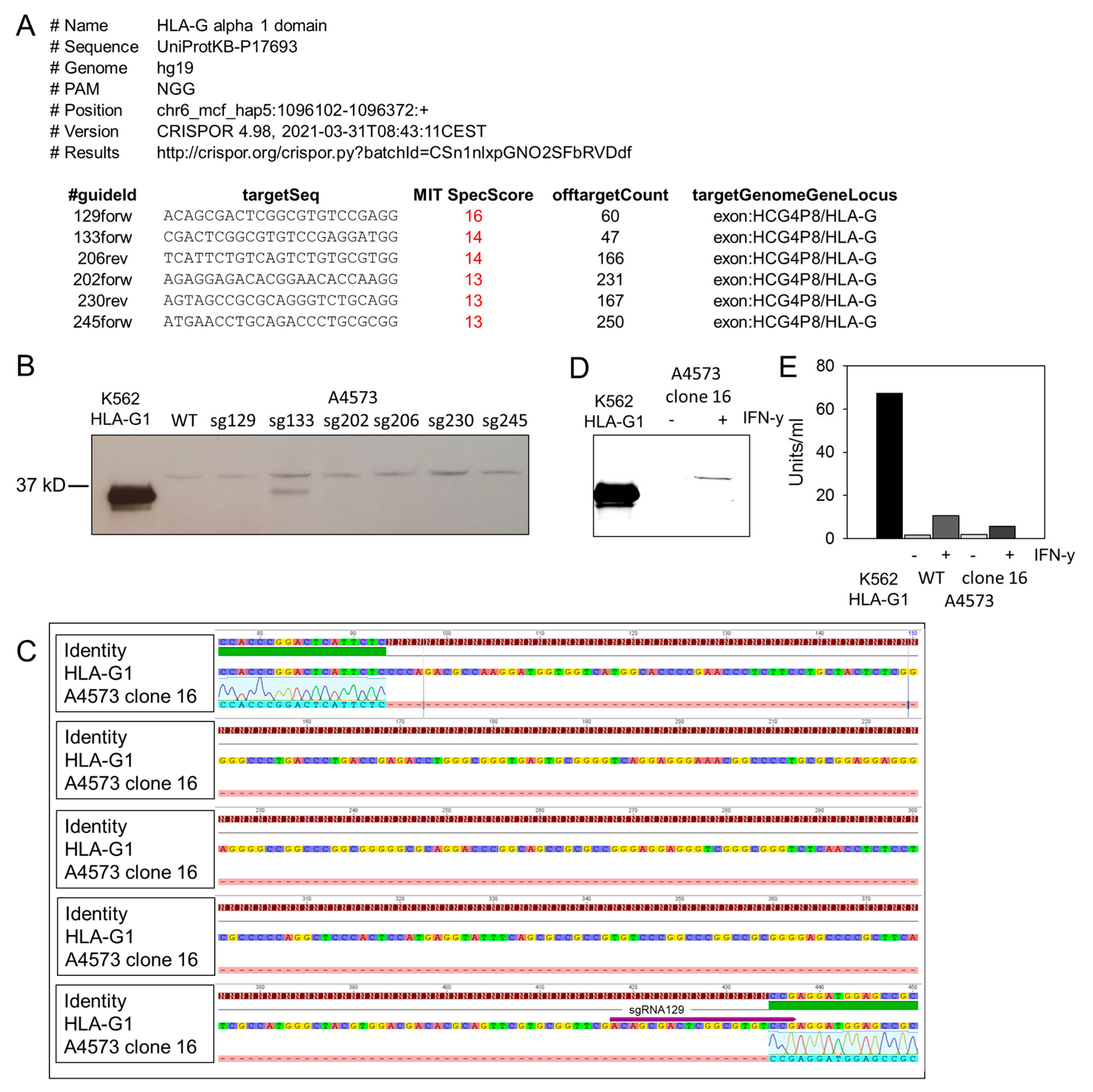 Cancers 13 02857 g0a2