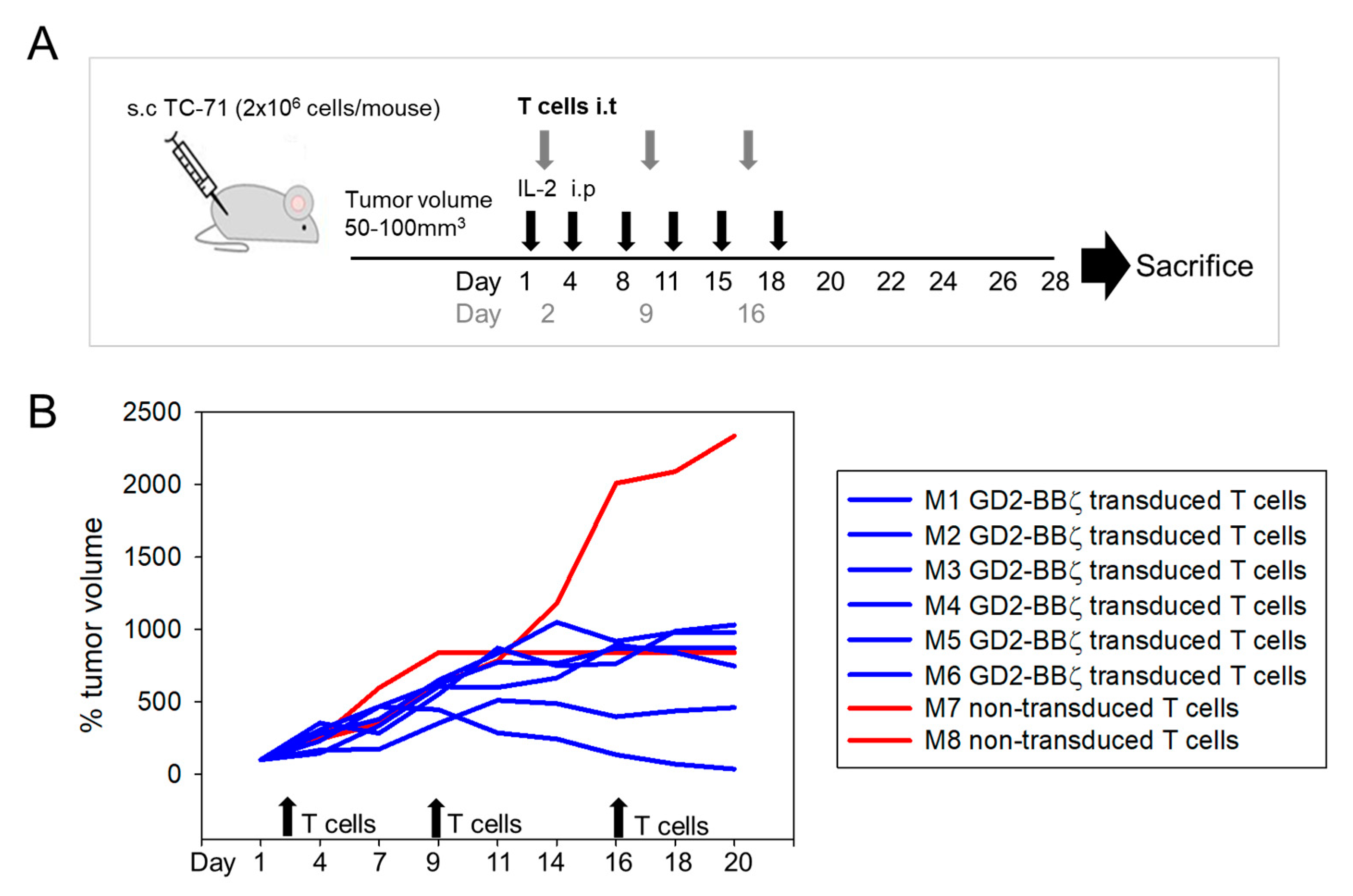 Cancers 13 02857 g0a3