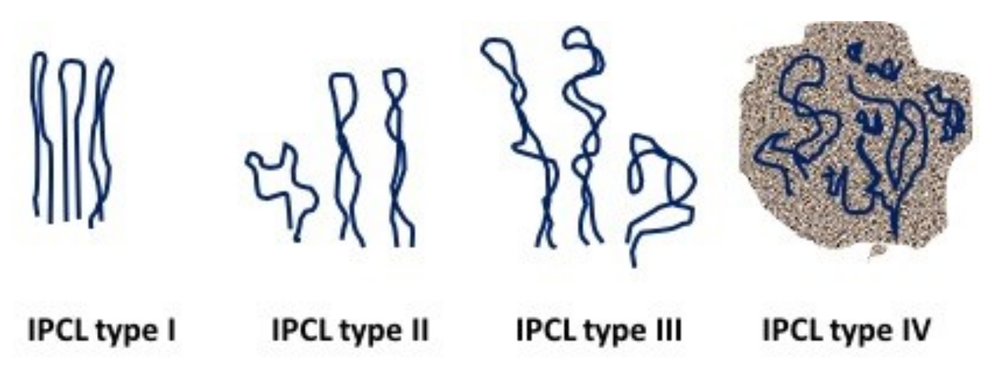 Cancers 13 02864 g003 Cancers 13 02864 g003