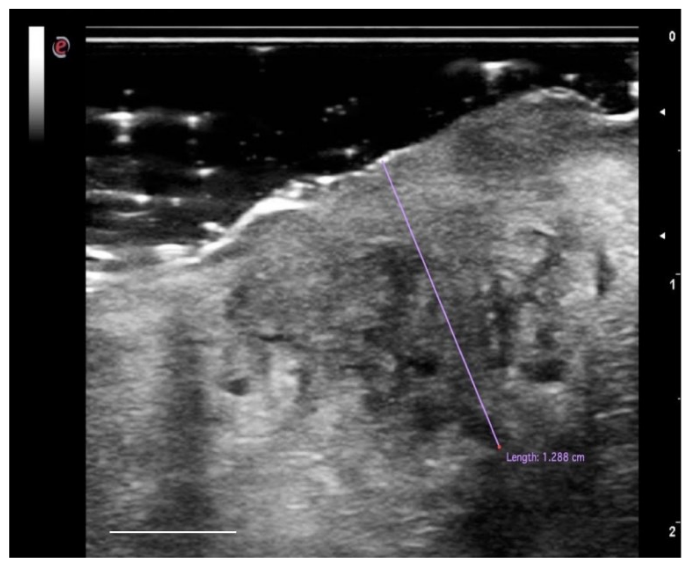 Cancers 13 02864 g005 Cancers 13 02864 g005