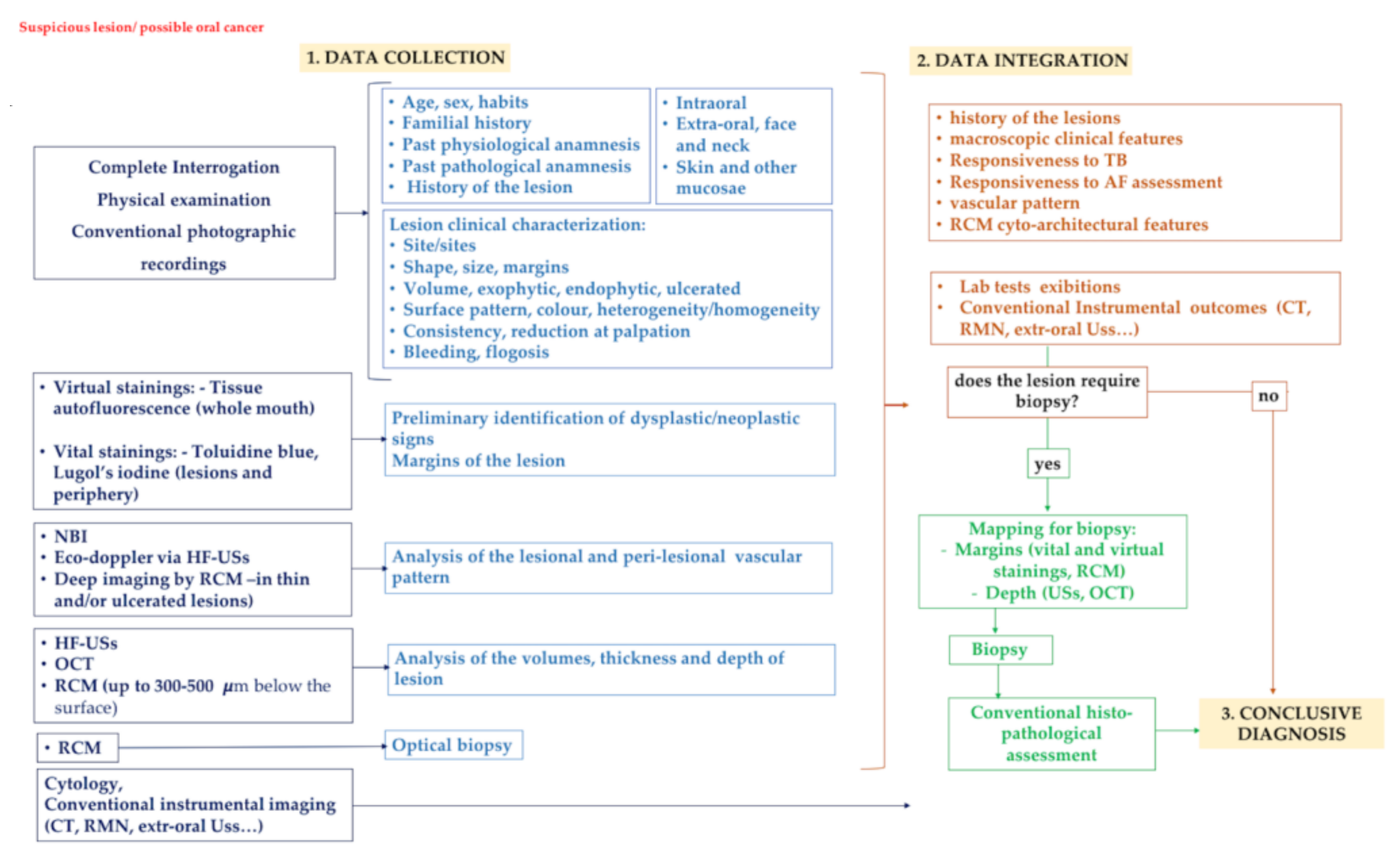 Cancers 13 02864 g007 Cancers 13 02864 g007