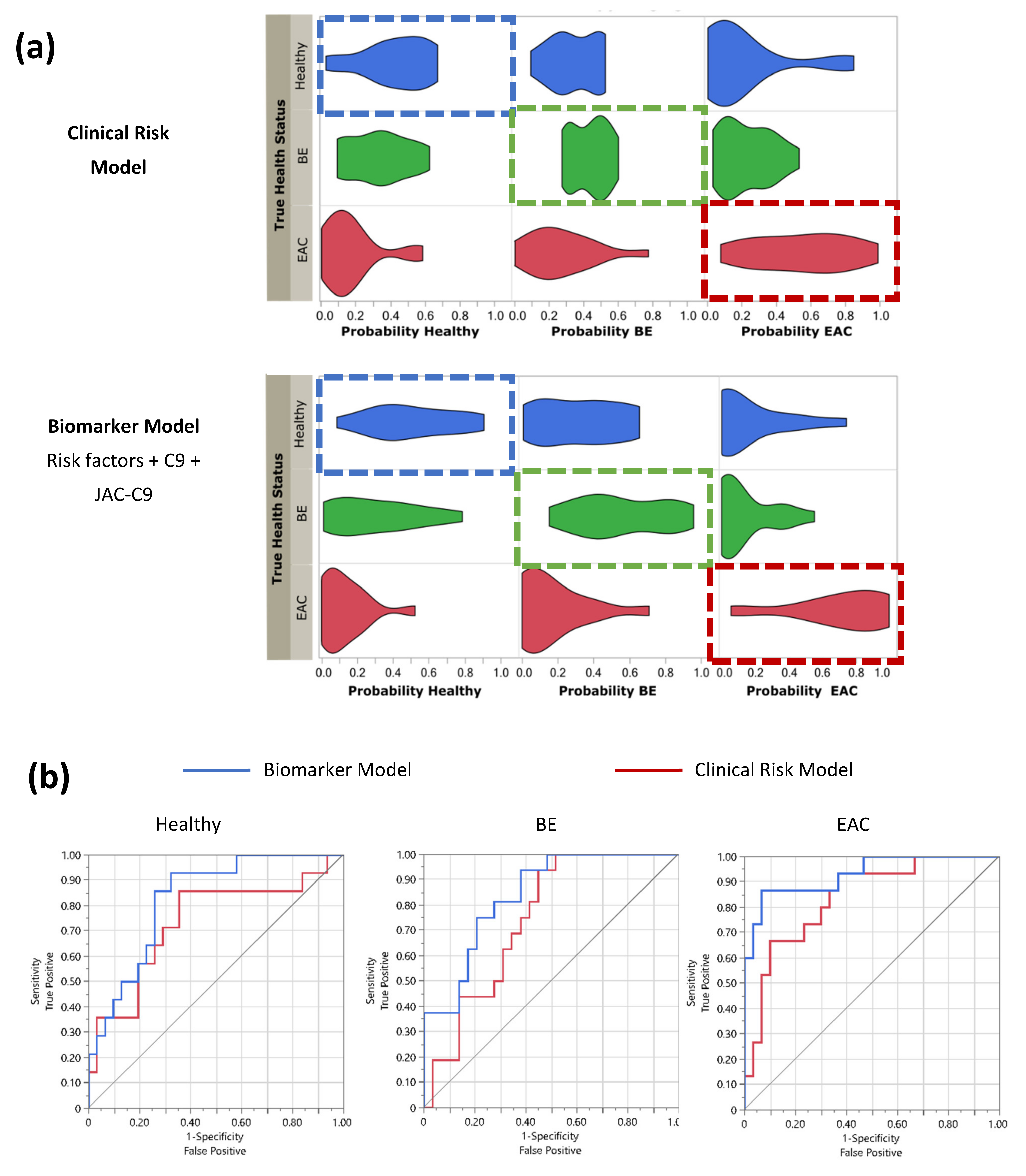 Cancers 13 02865 g005
