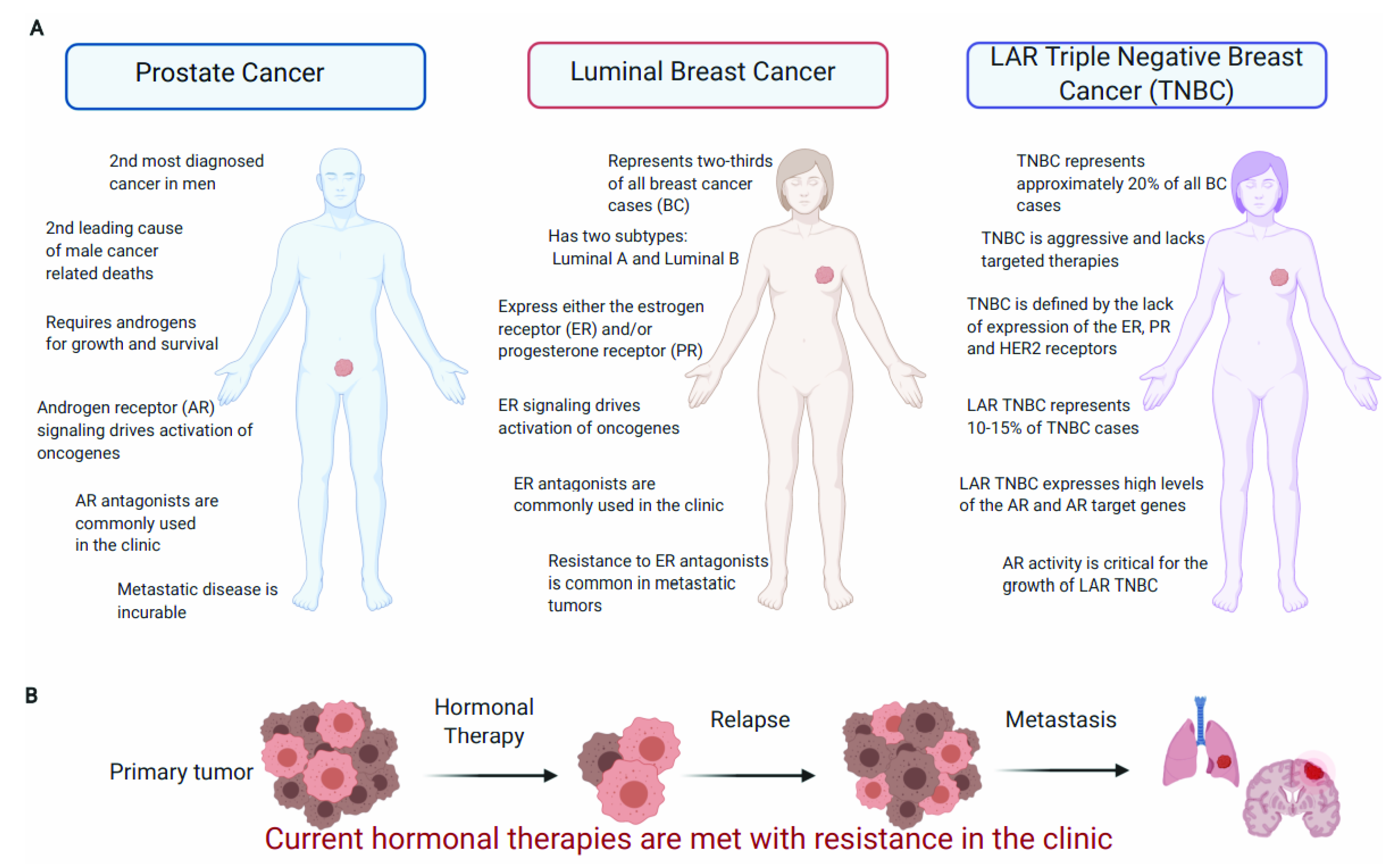 Cancers 13 02872 g002