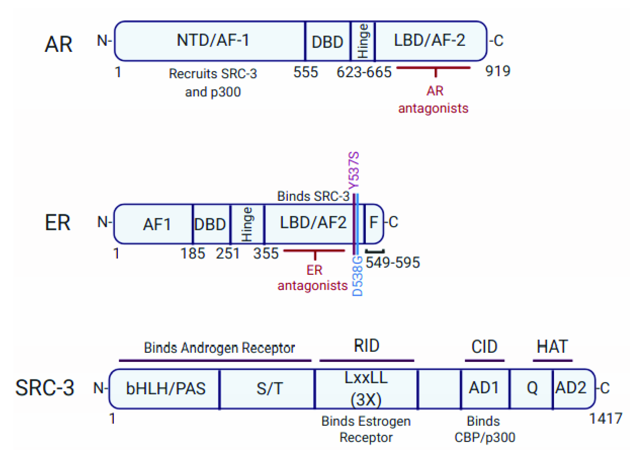 Cancers 13 02872 g004