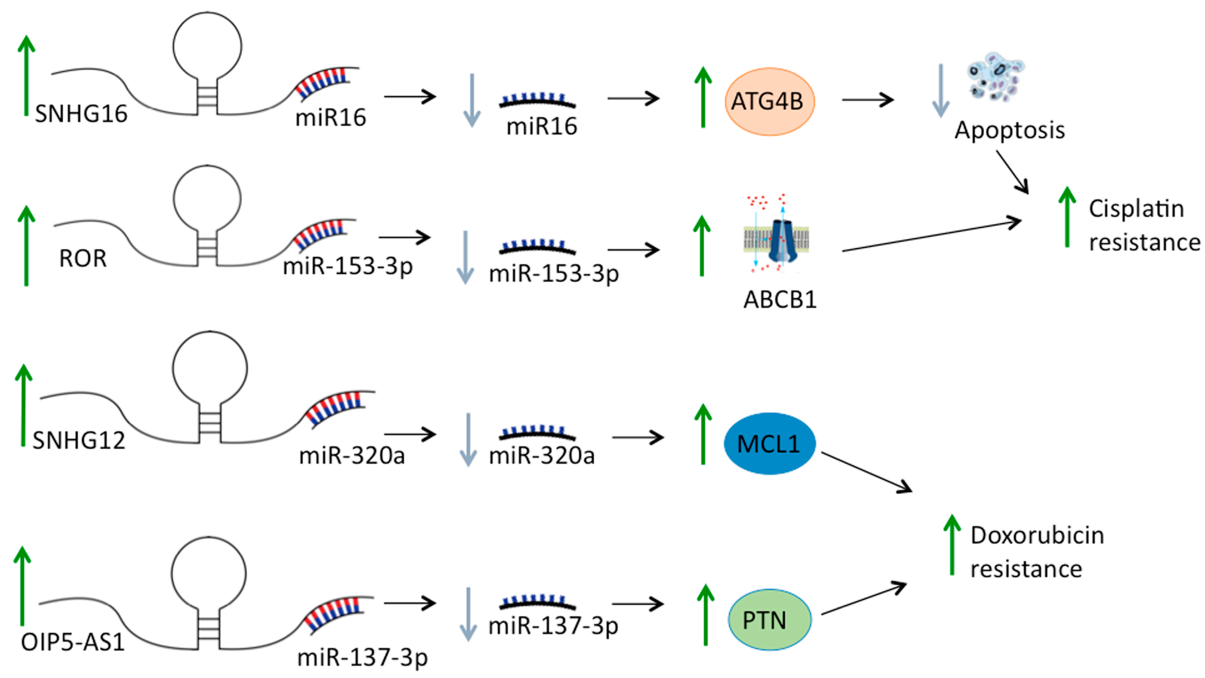 Cancers 13 02878 g001