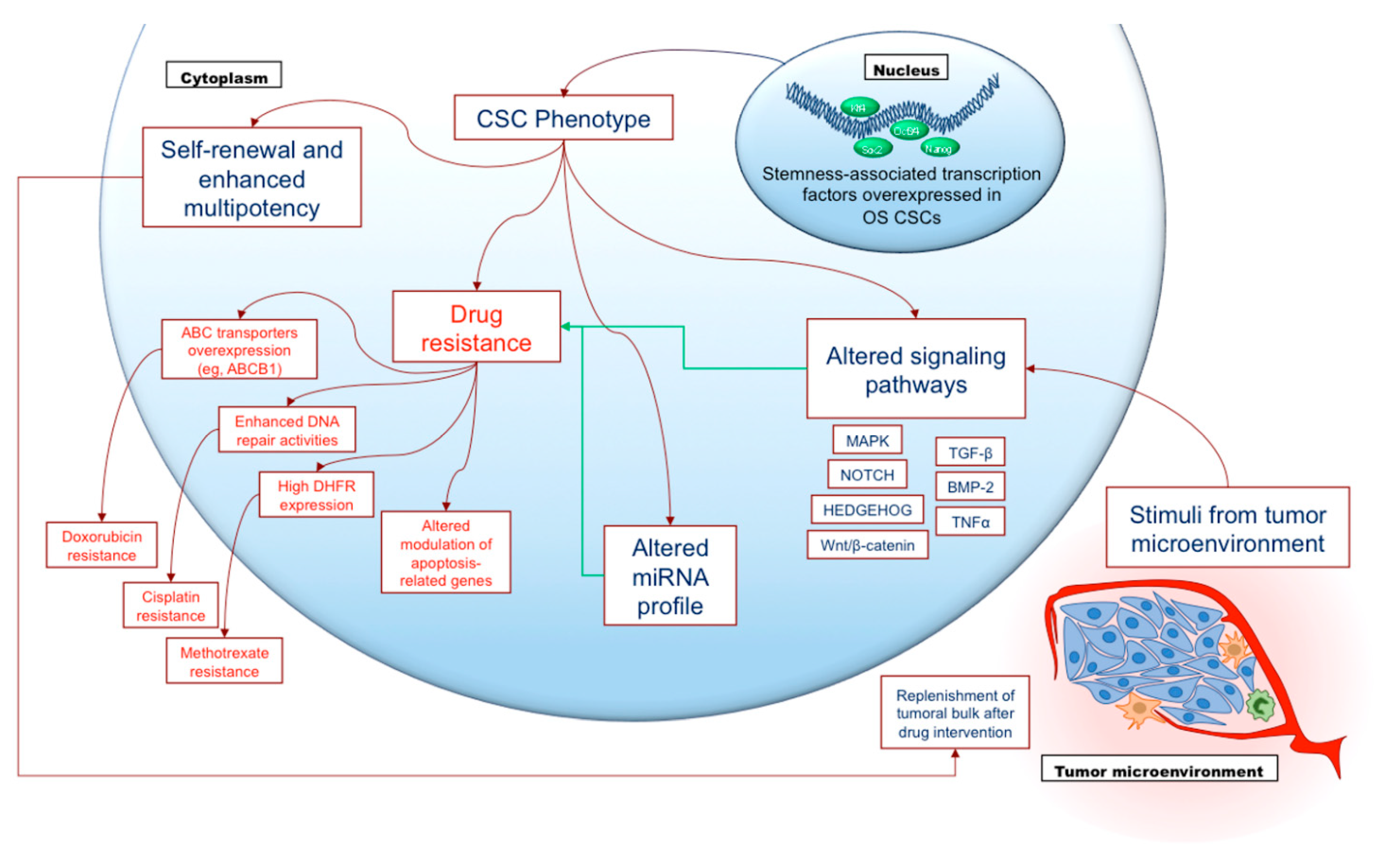 Cancers 13 02878 g002