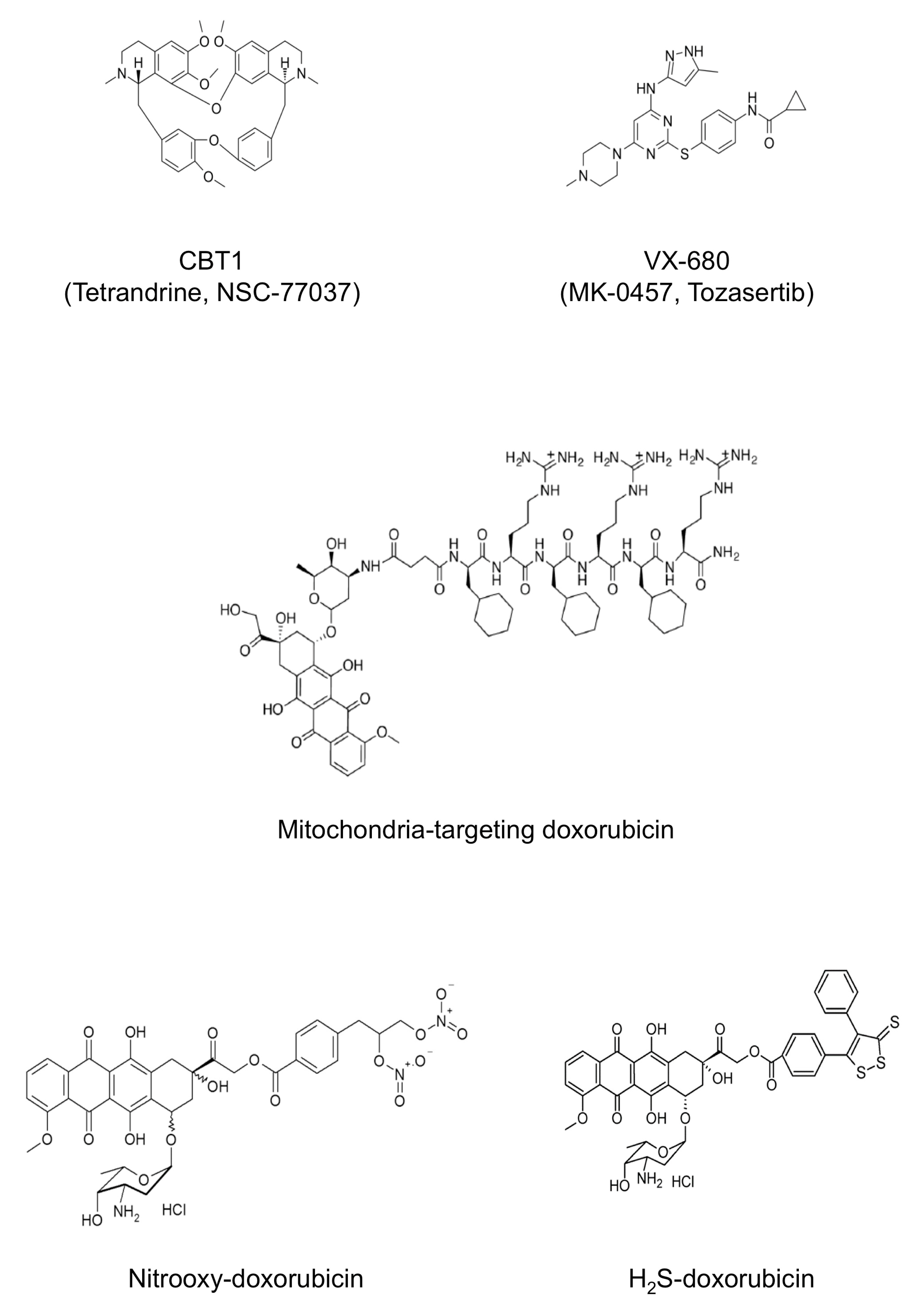 Cancers 13 02878 g003
