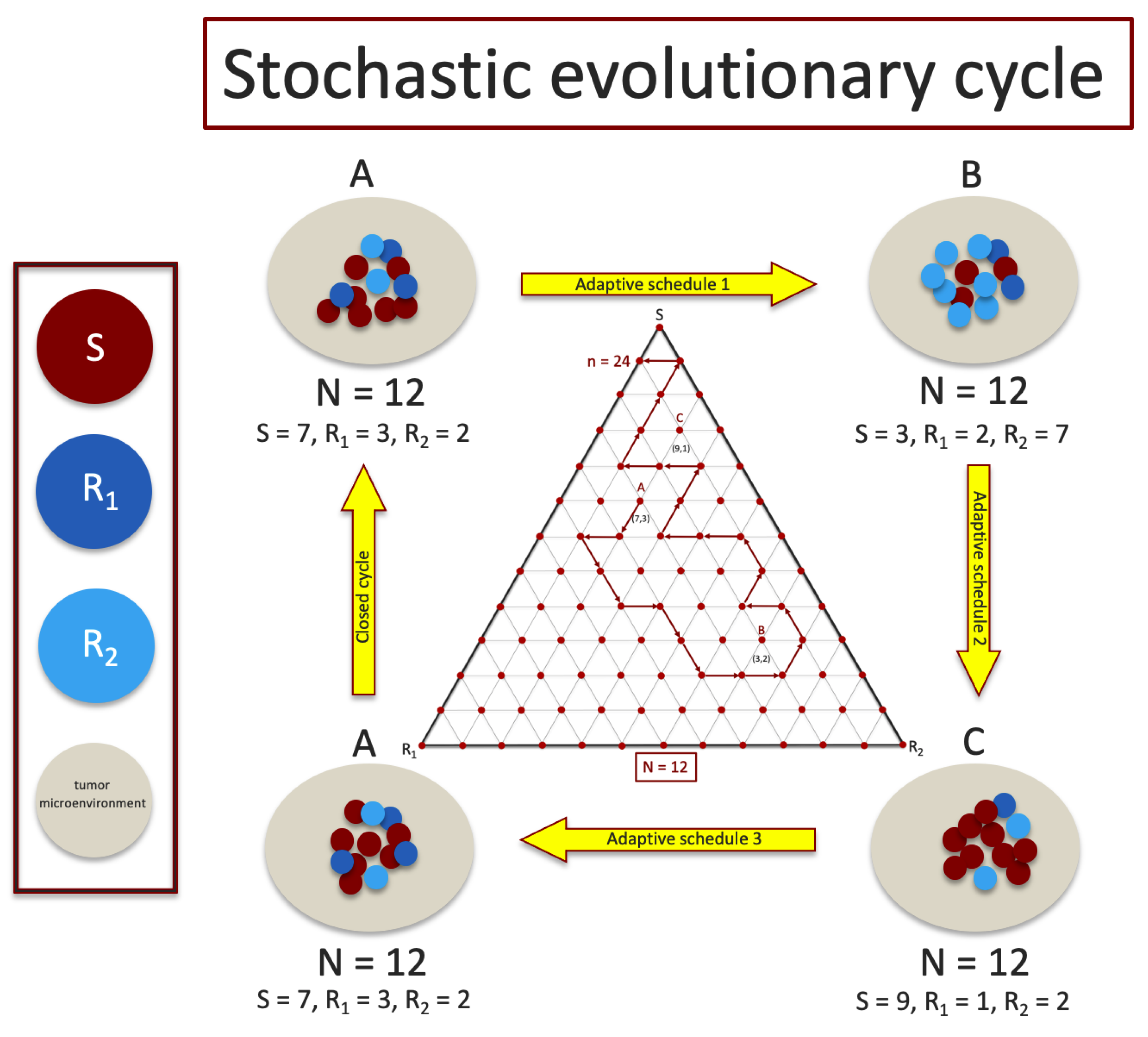 Cancers 13 02880 g001