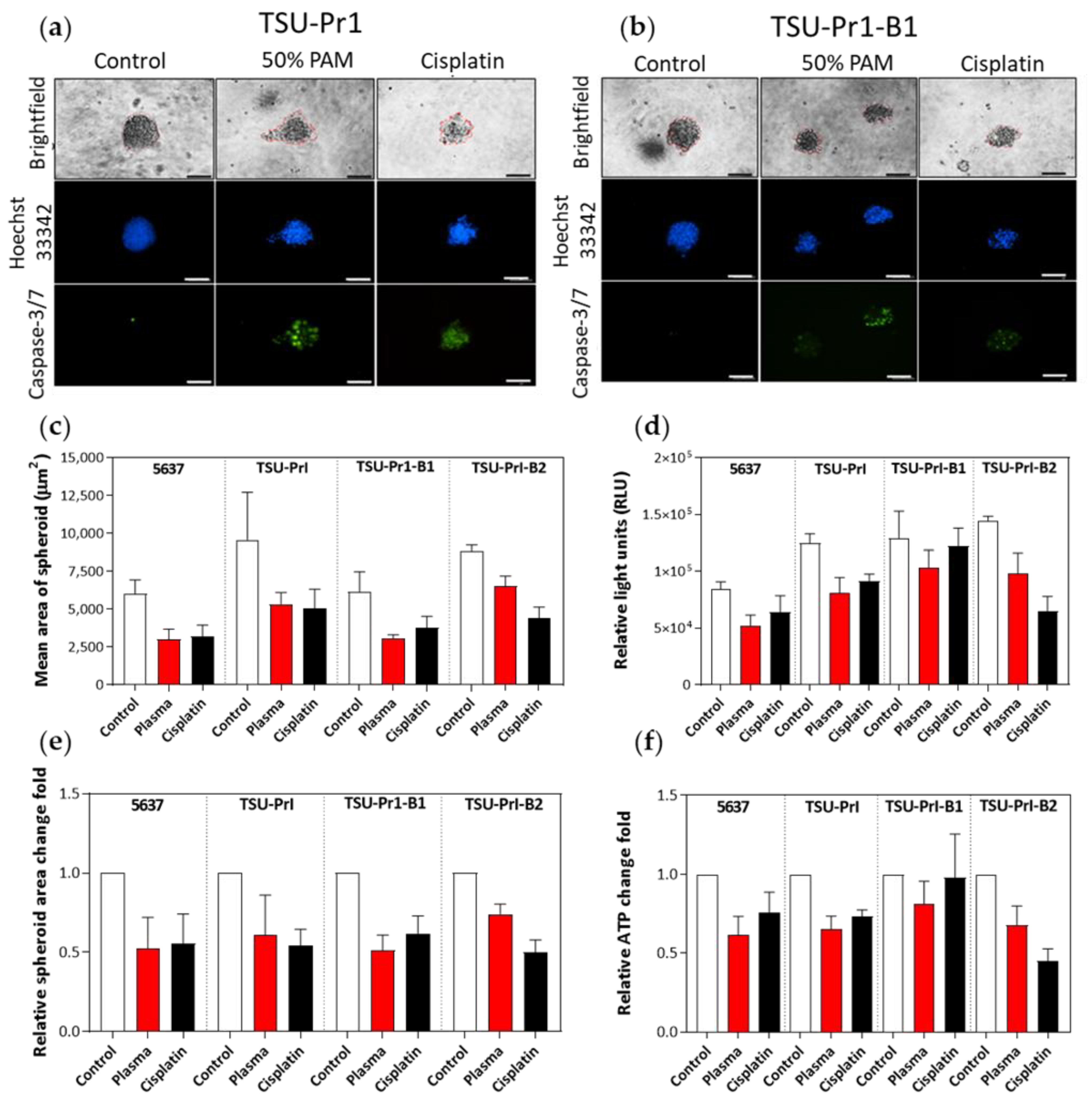 Cancers 13 02889 g006