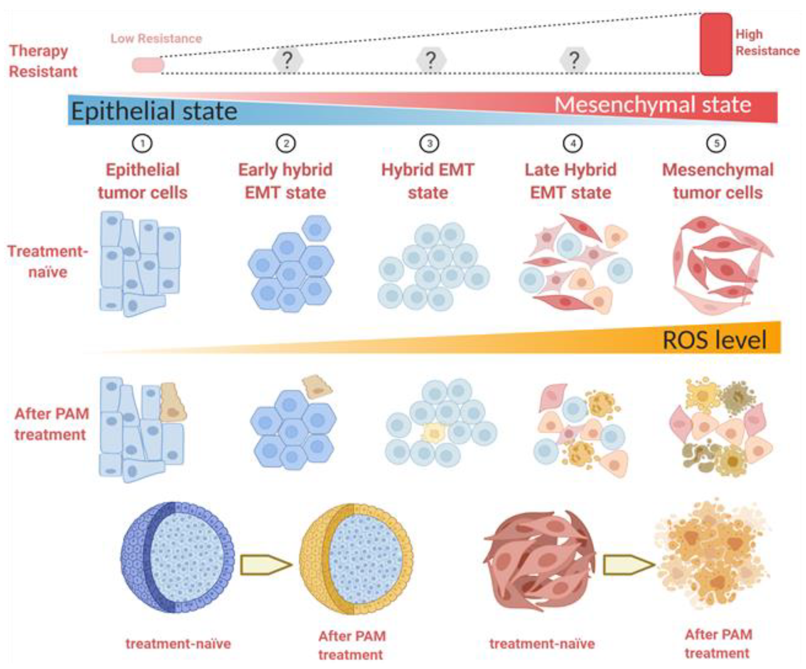 Cancers 13 02889 g008