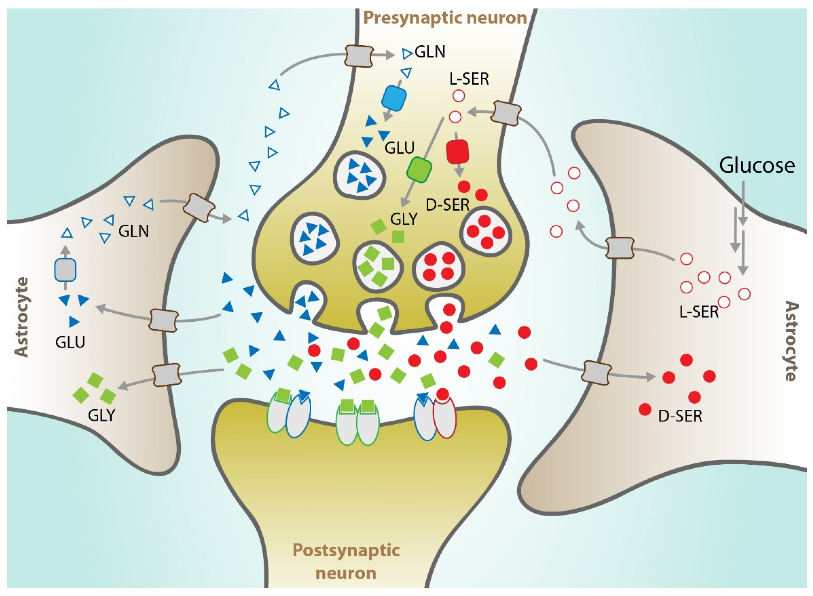 Cancers 13 02891 g002